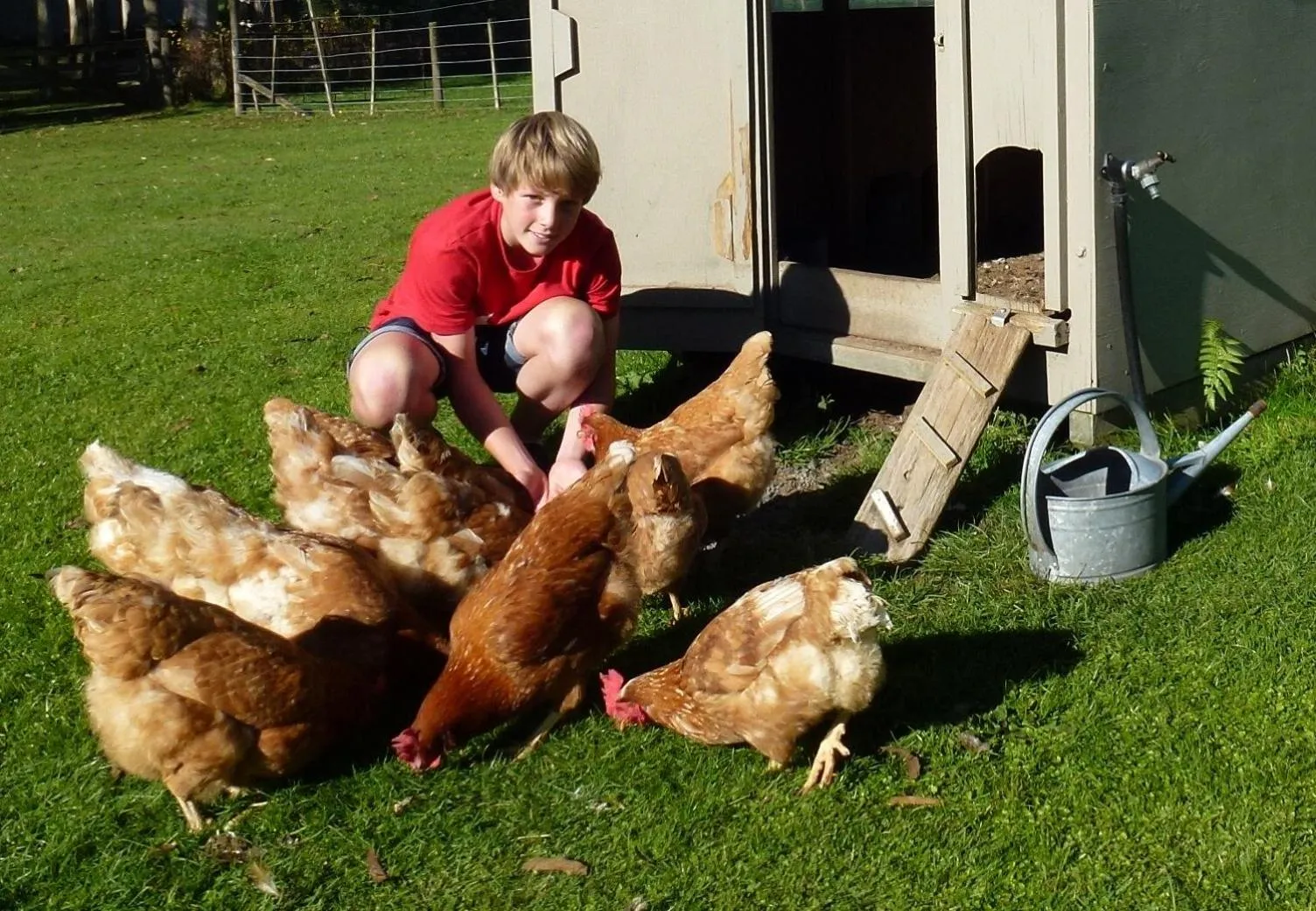 Pets in B&B Blossom Cottage