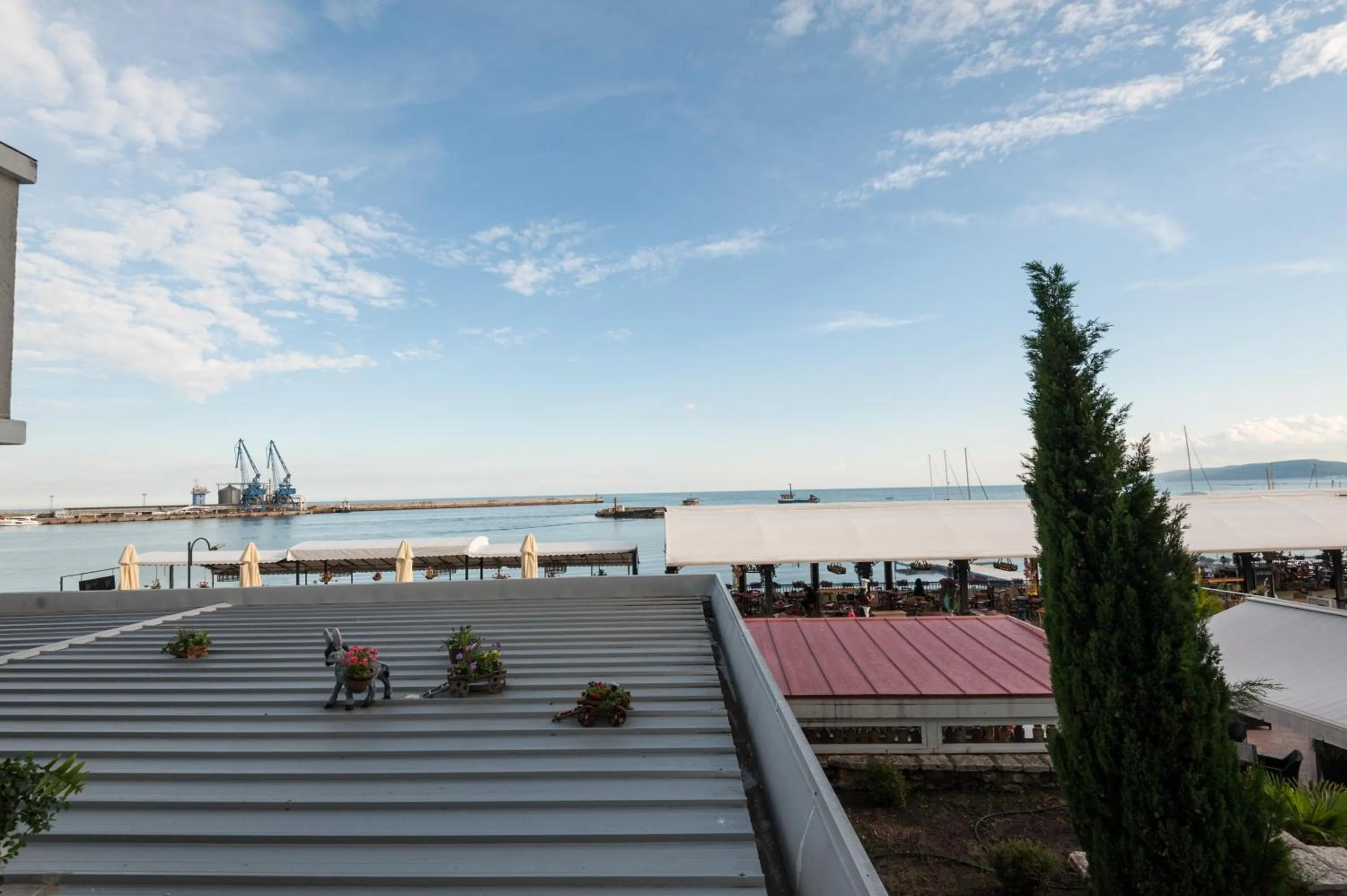 View (from property/room) in Selena Hotel