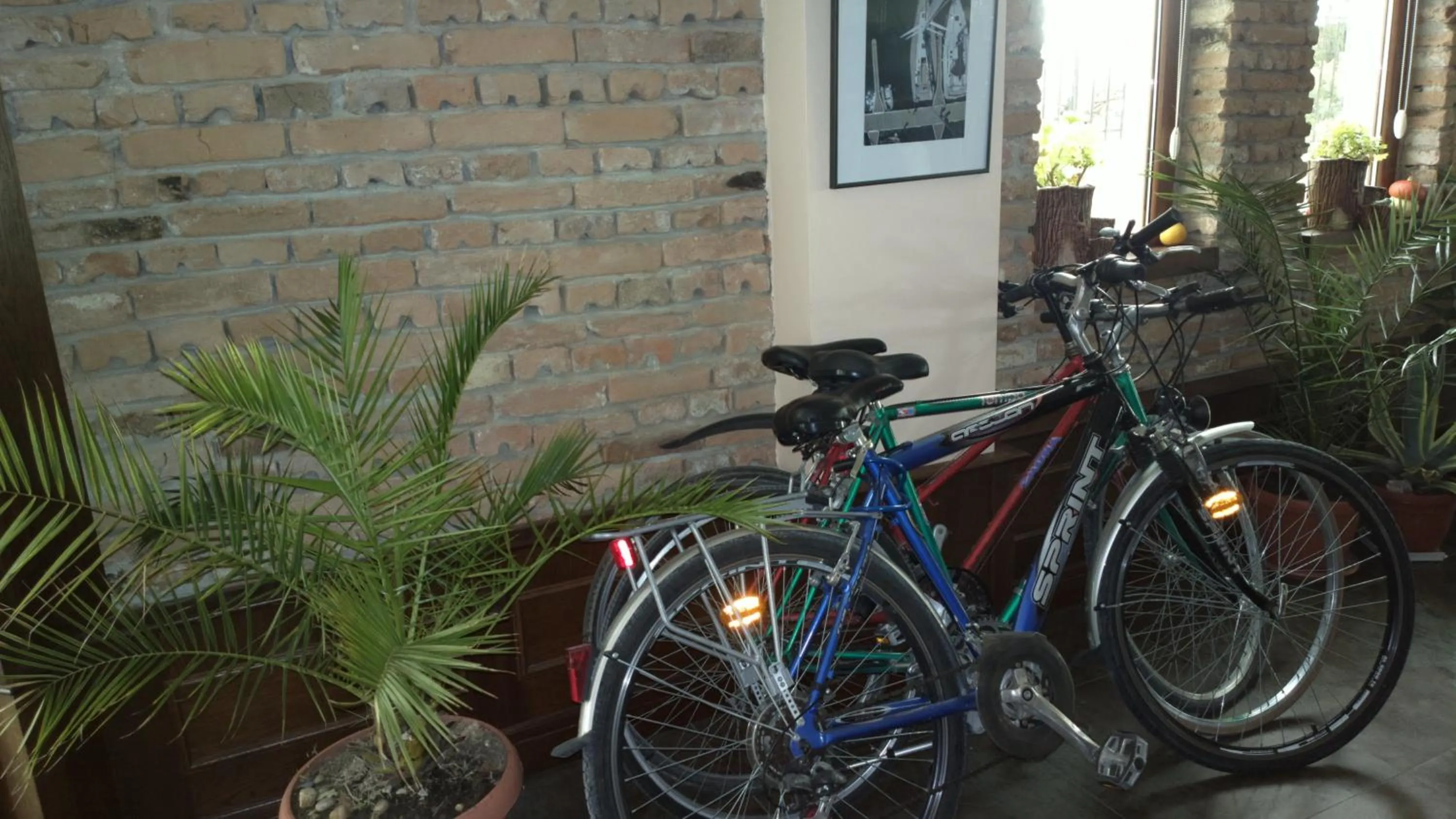 Activities in Selena Hotel