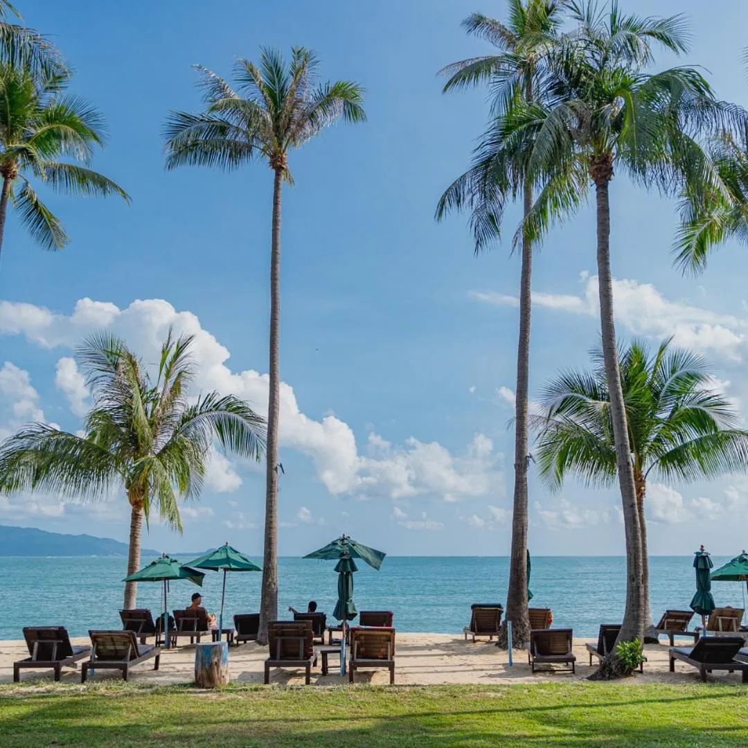 Beach in Coco Palm Beach Resort - SHA Extra Plus