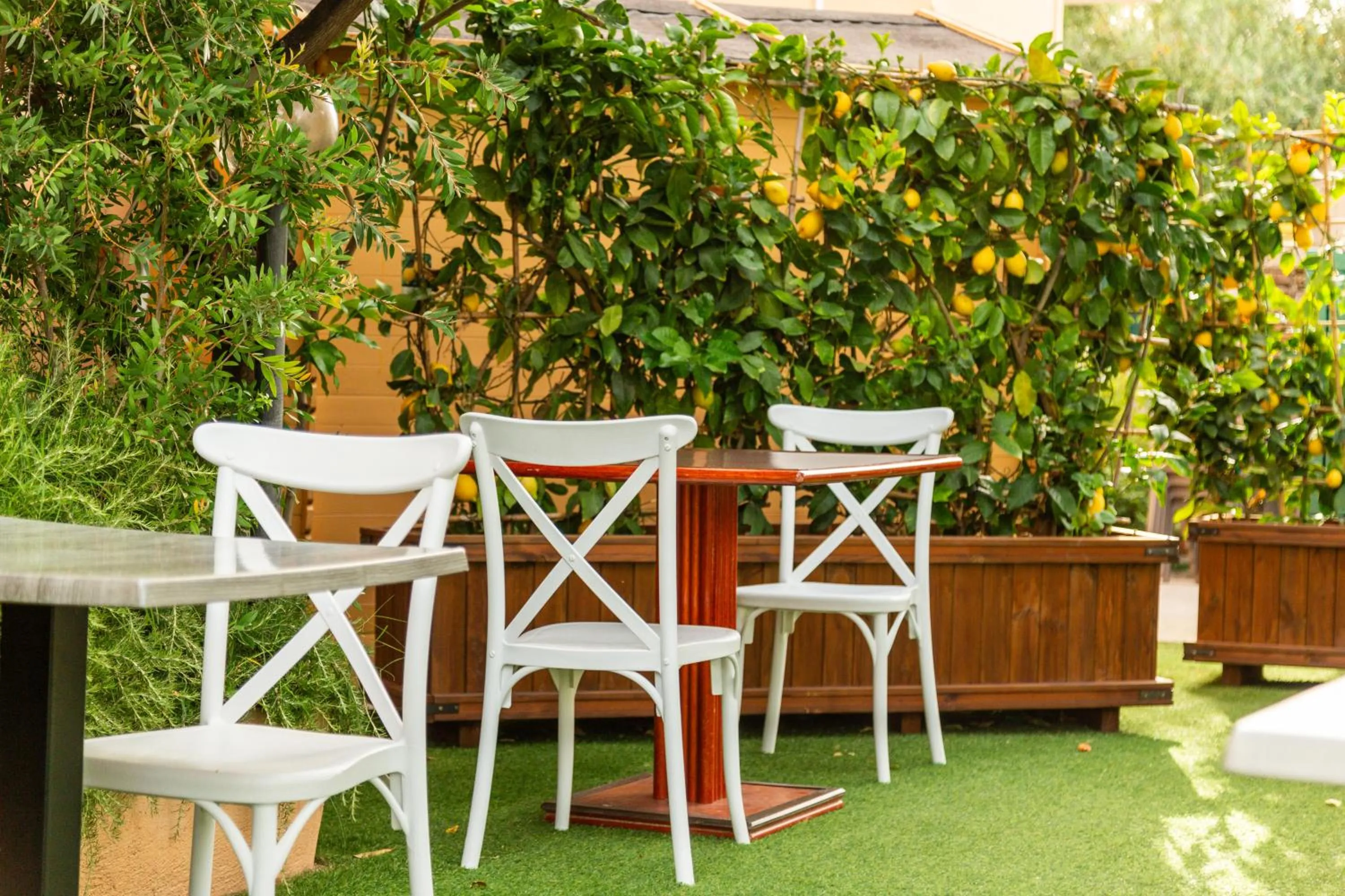 Garden view in Hotel Donatella