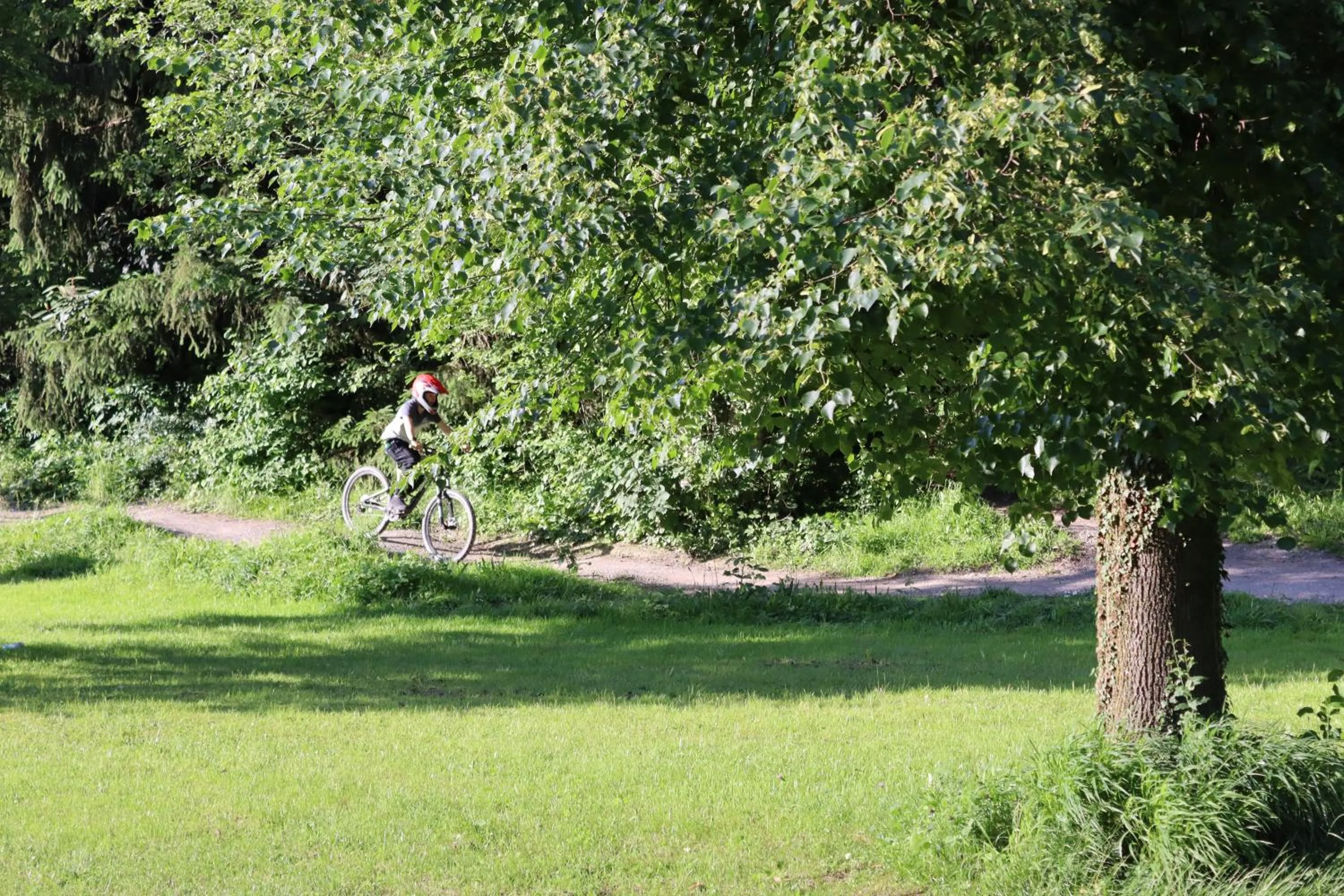 Garden in lintharena ag