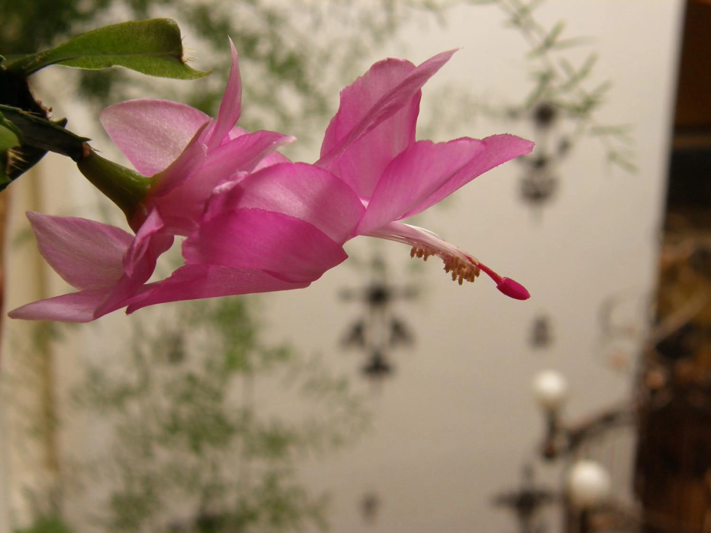 Other in Mía Leticia B&B