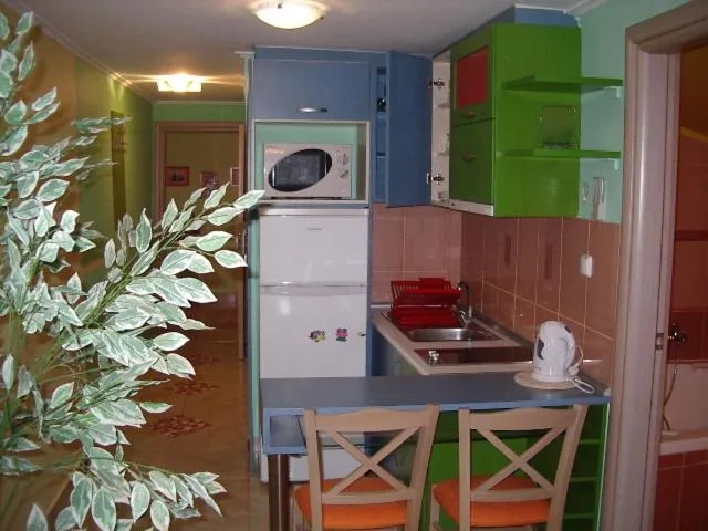 Kitchen or kitchenette in Hotel Dias Apartment