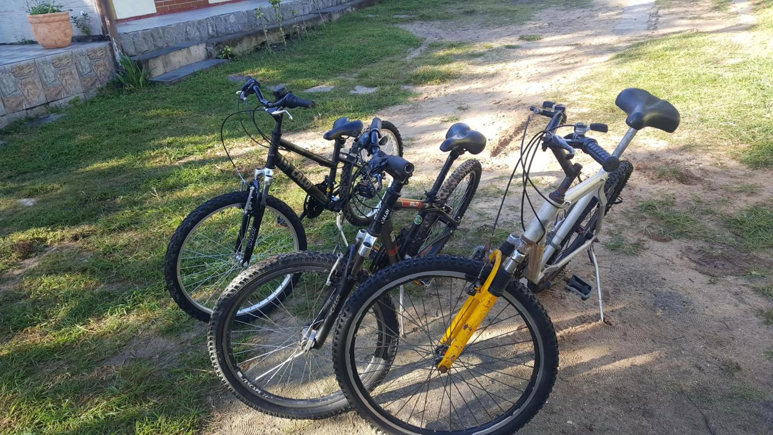 Activities in Pousada Viva Mar