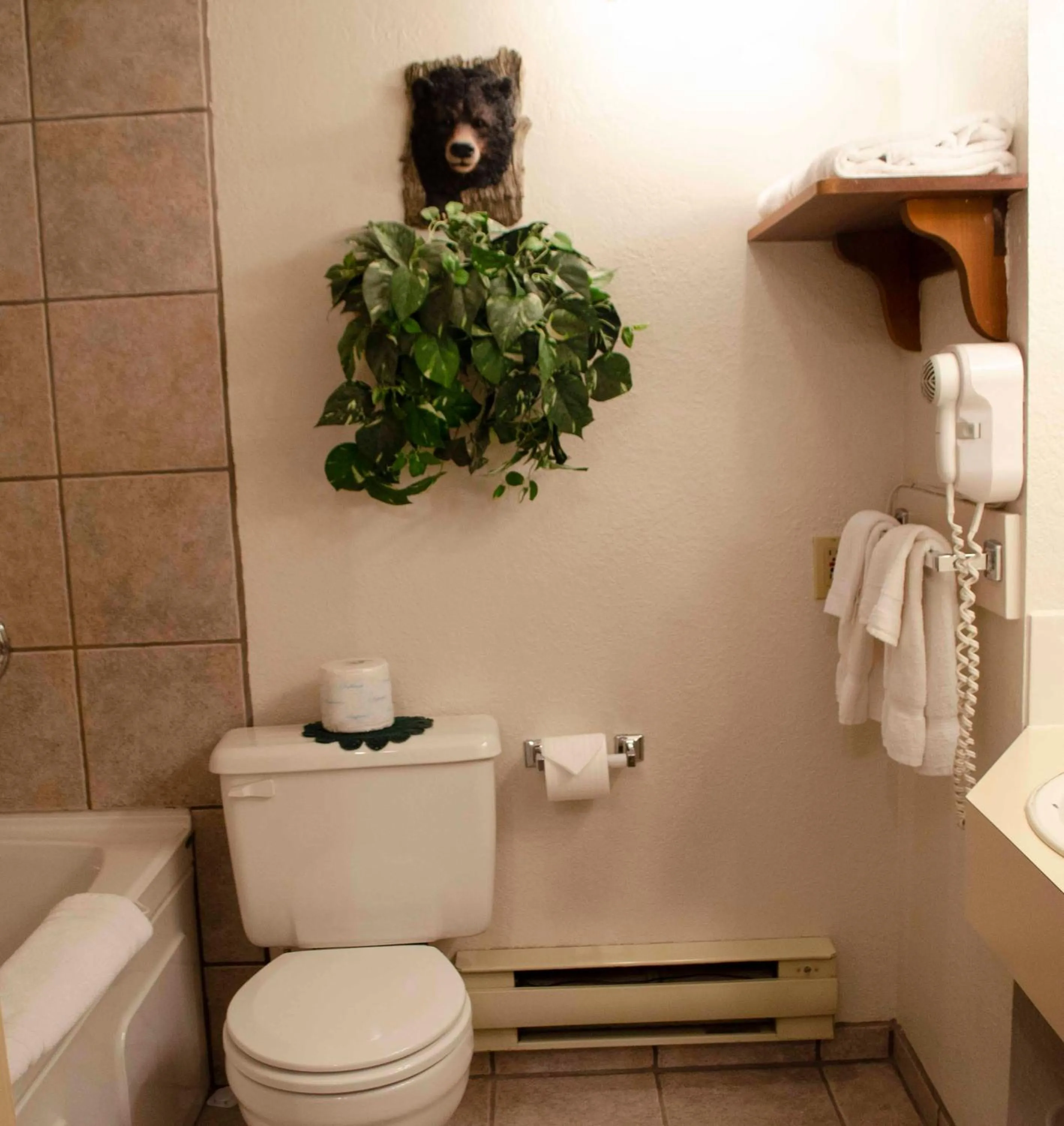 Toilet in Crandell Mountain Lodge