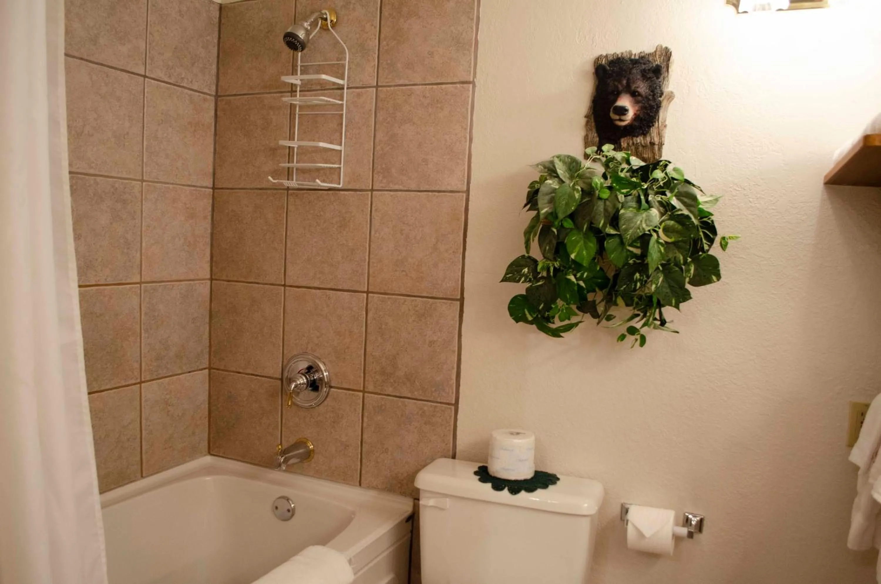 Shower in Crandell Mountain Lodge