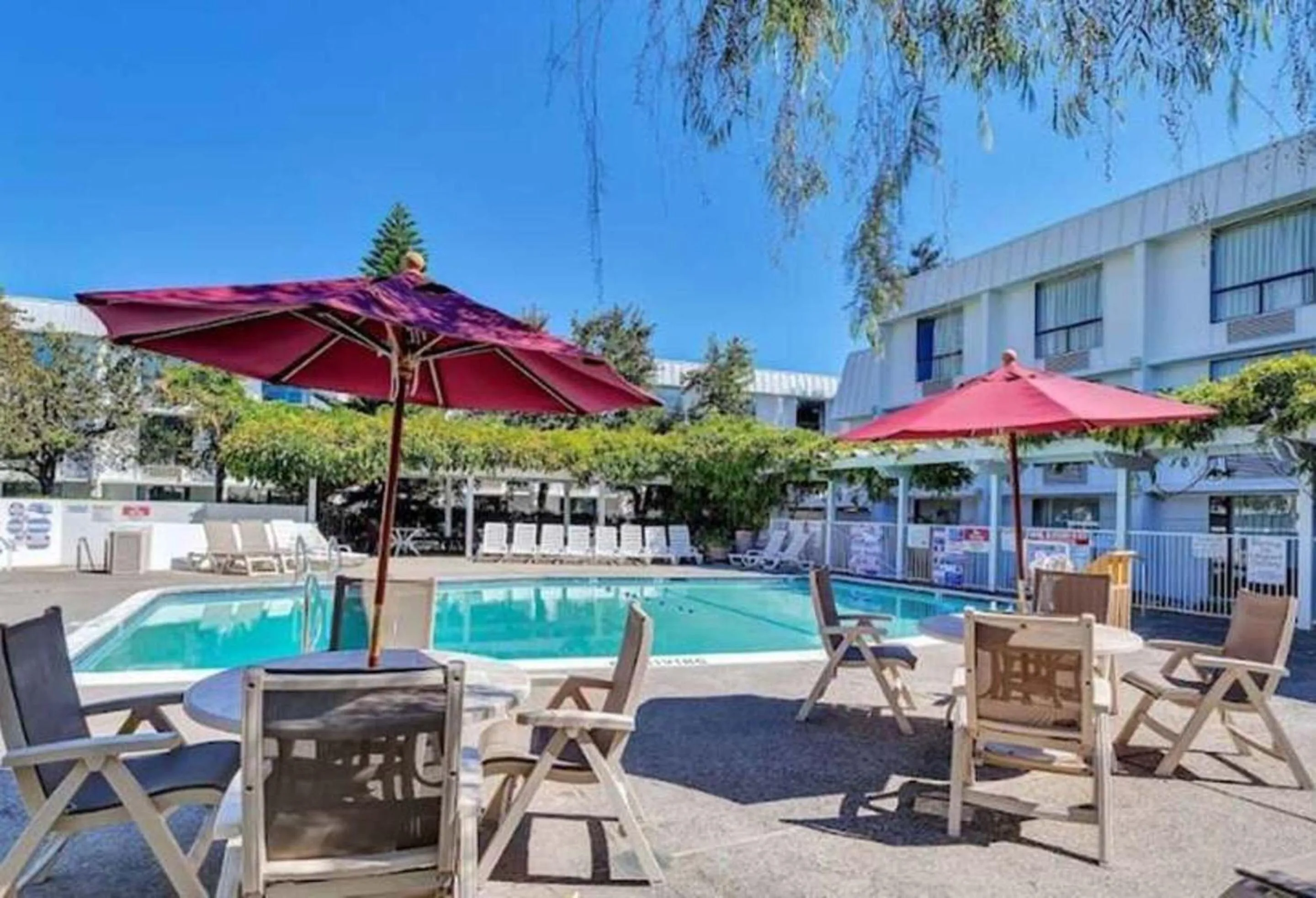 Swimming pool in Motel 6-Belmont, CA - San Francisco - Redwood City