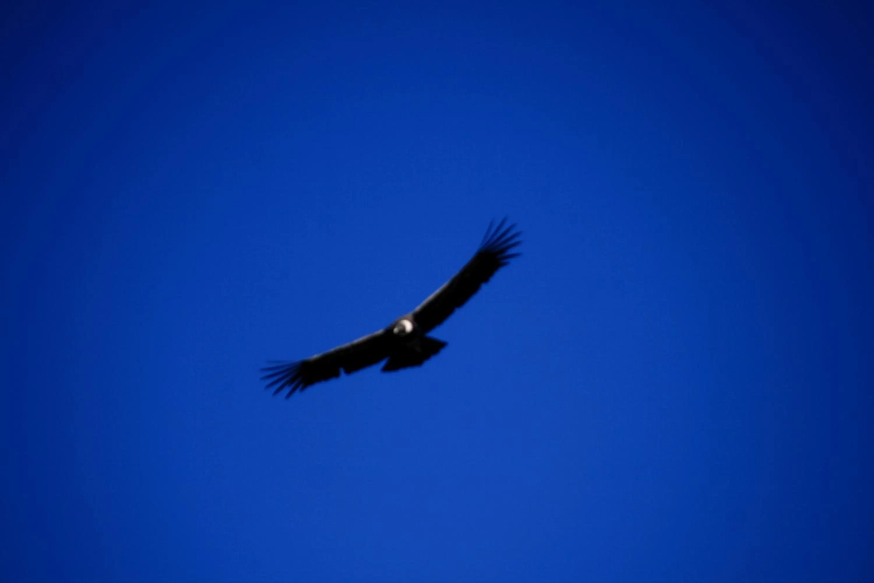 Day in Estancia Las Carreras