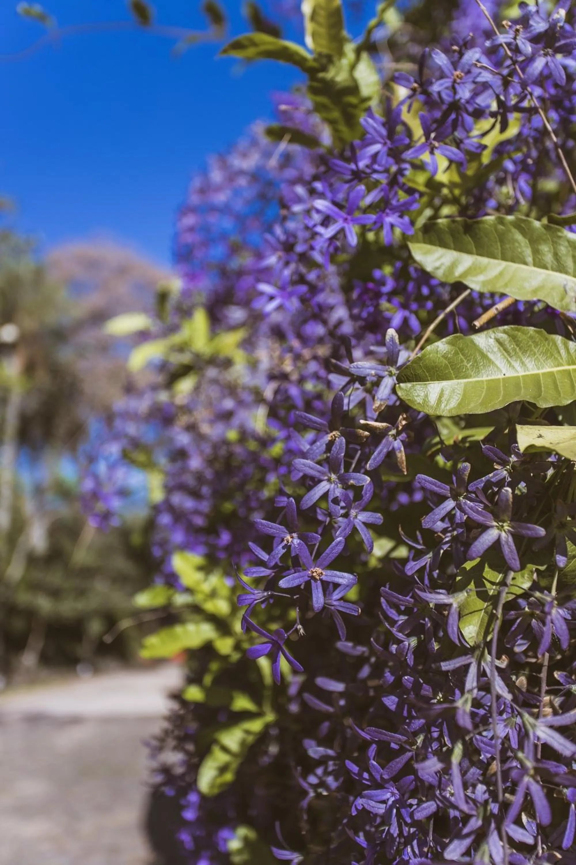 Río Arriba Suites & Apartments & Restó