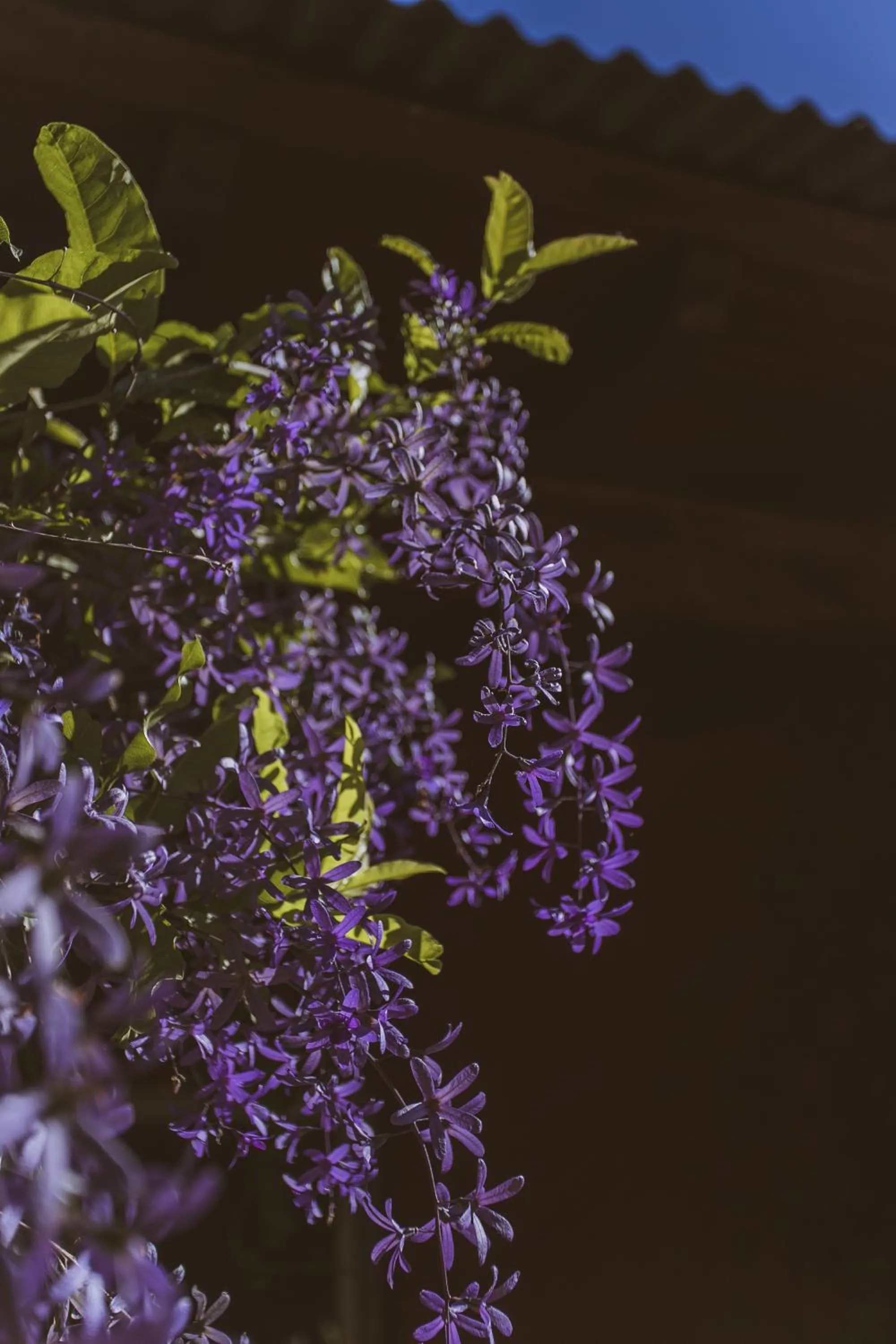 Río Arriba Suites & Apartments & Restó