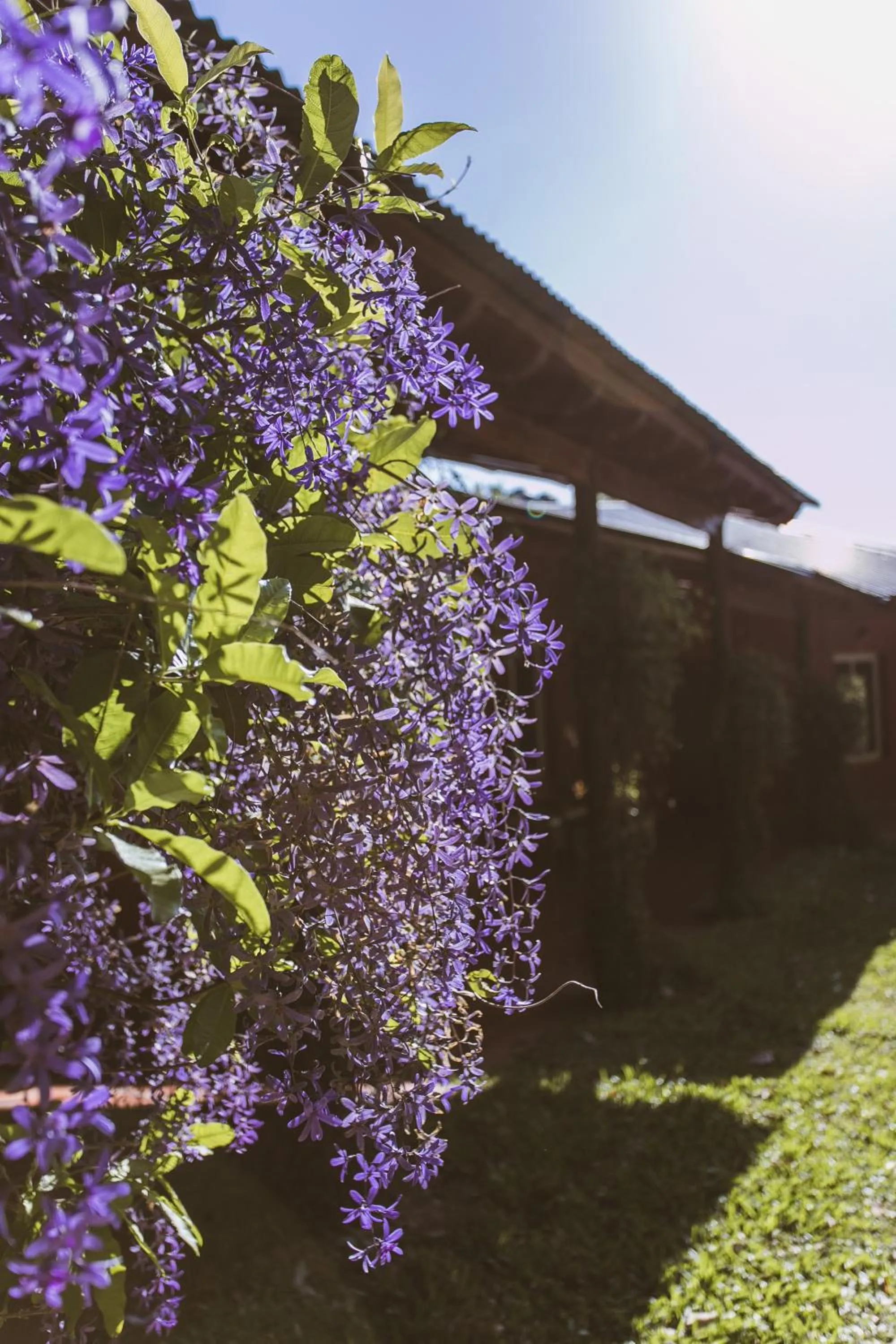 Río Arriba Suites & Apartments & Restó