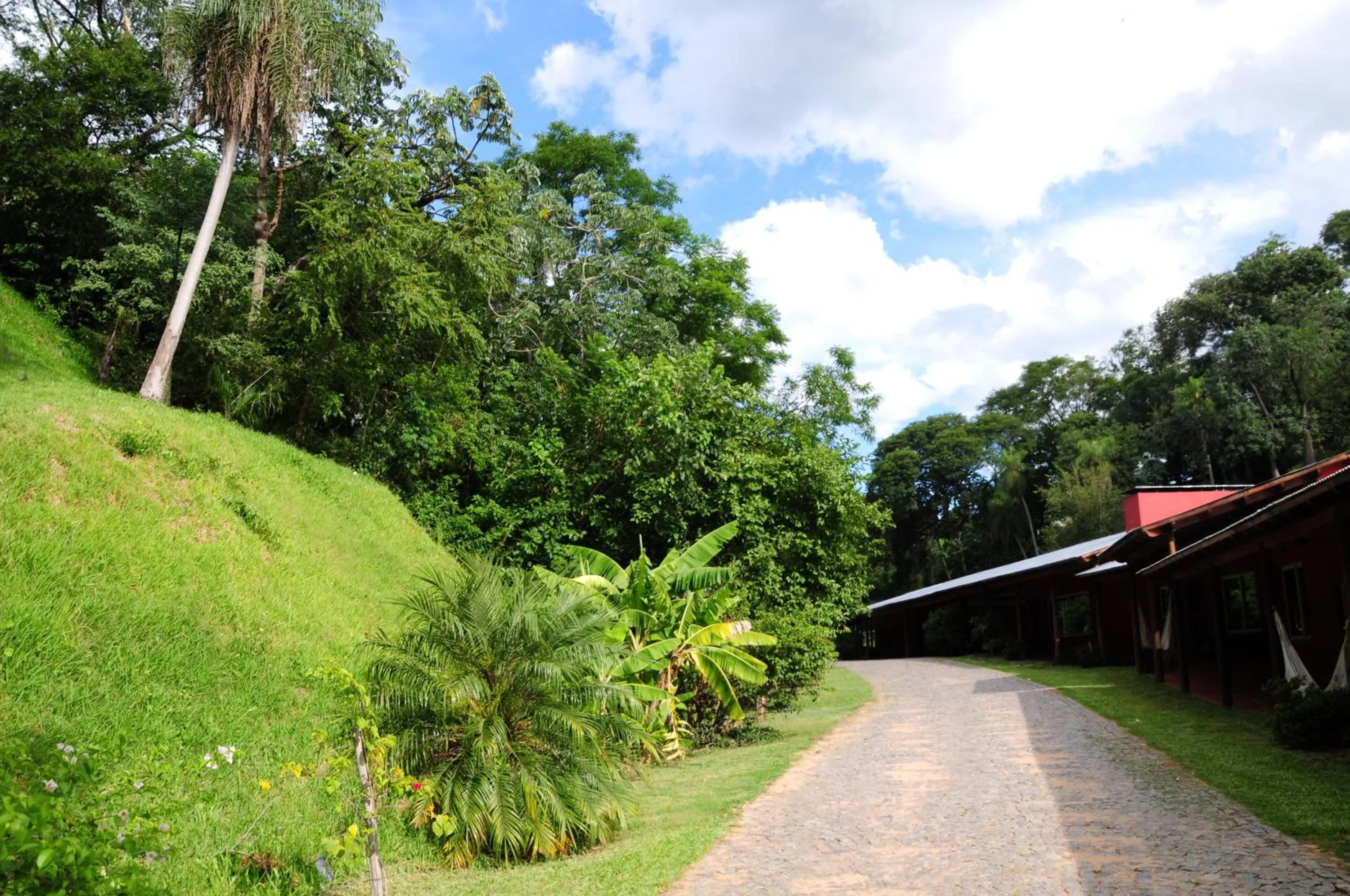 Garden in Río Arriba Suites & Apartments & Restó