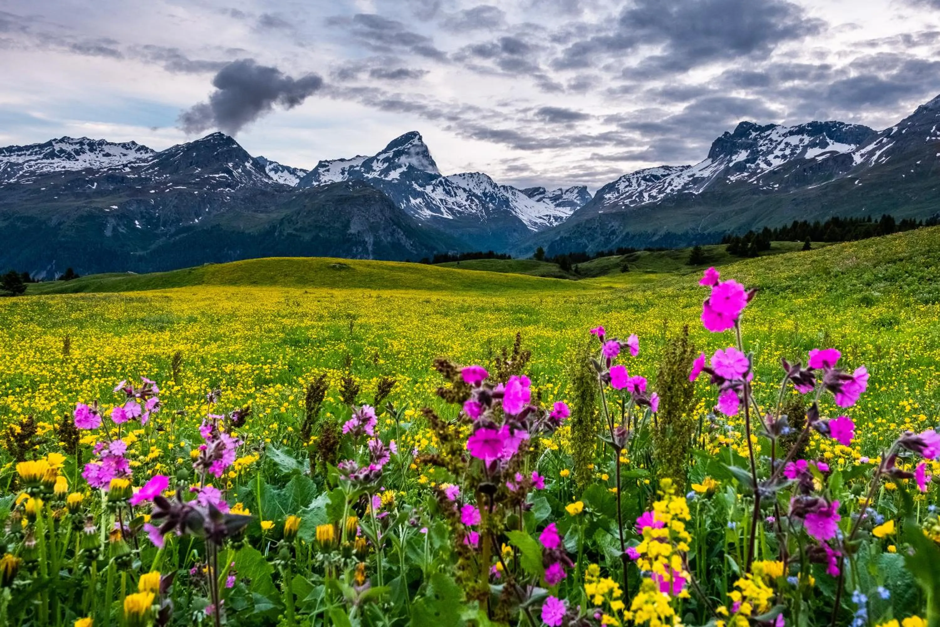 Natural landscape in Hotel Grischuna