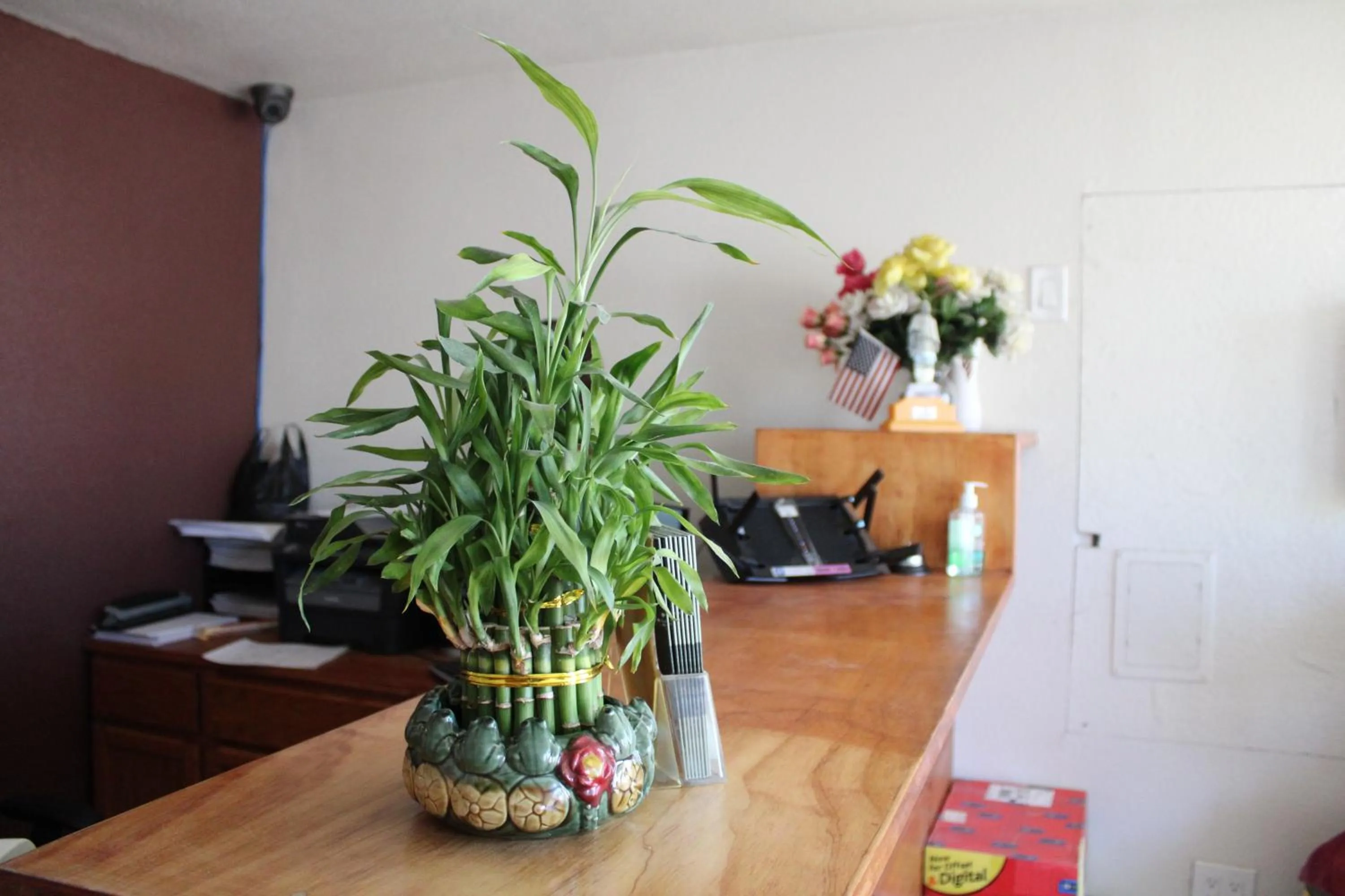 Lobby or reception in Flagstaff Motel
