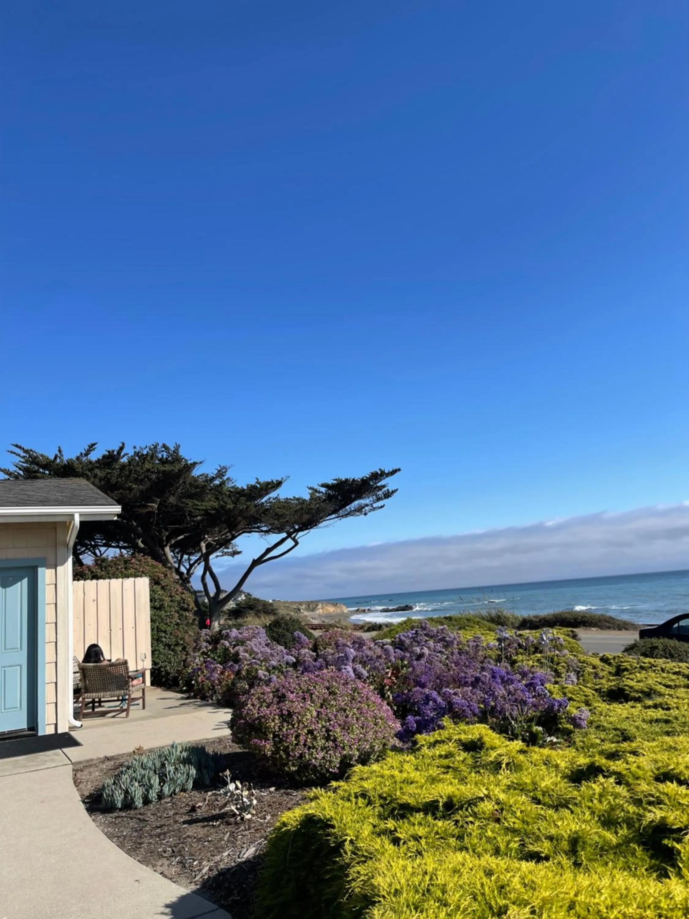 Natural landscape in Cambria Landing Inn and Suites