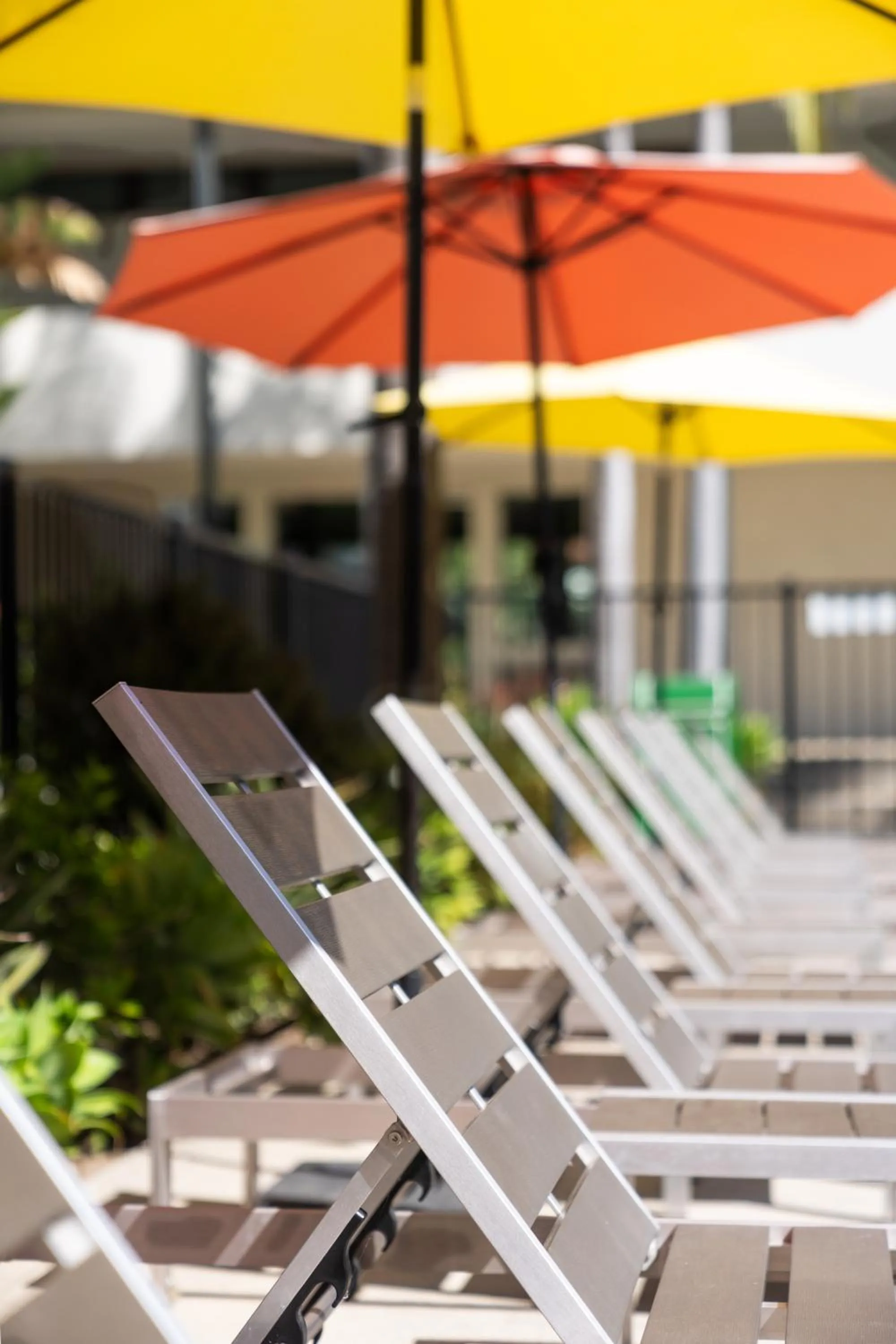 sunbed in Lemon Tree Inn