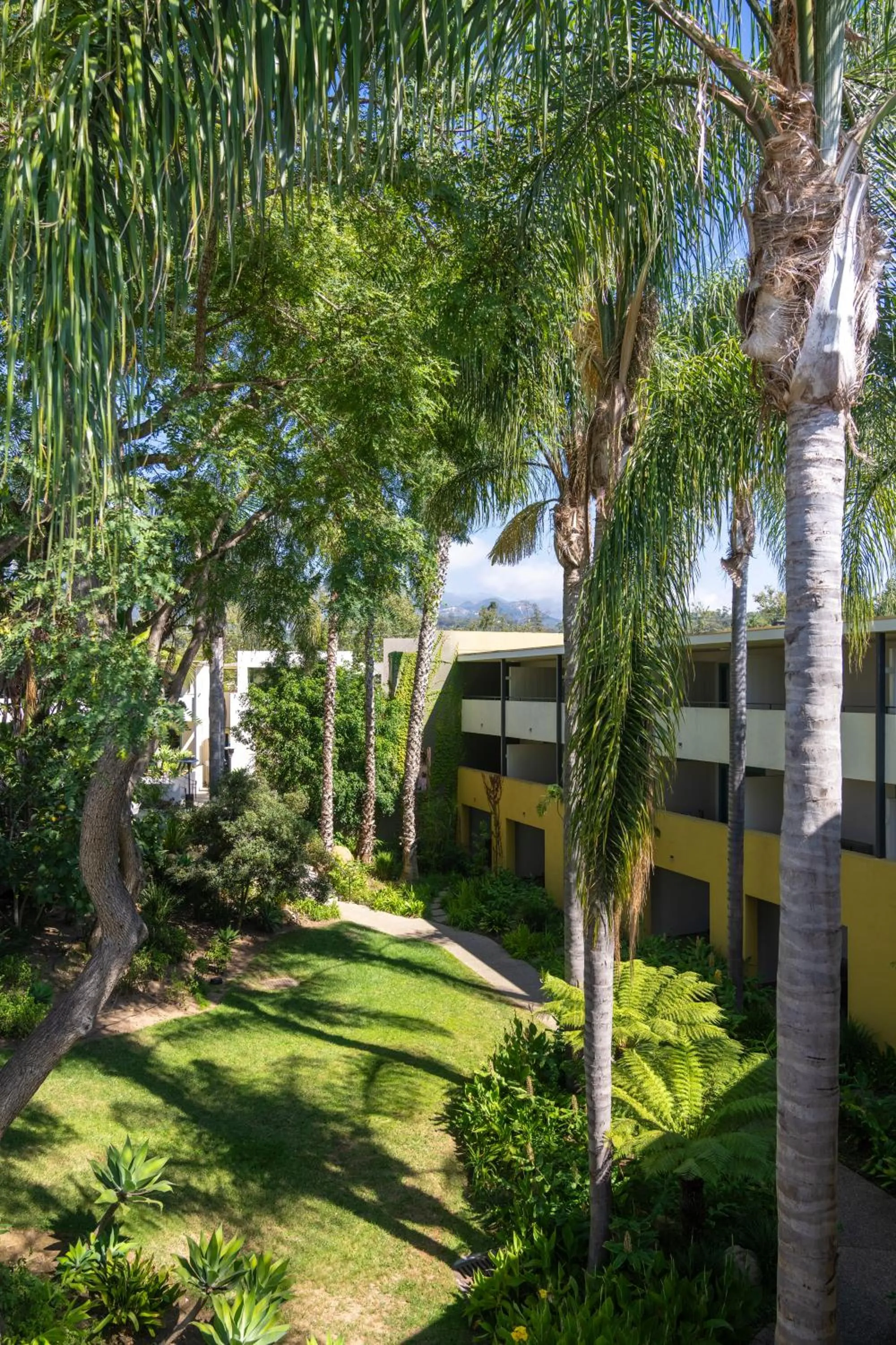 Natural landscape in Lemon Tree Inn