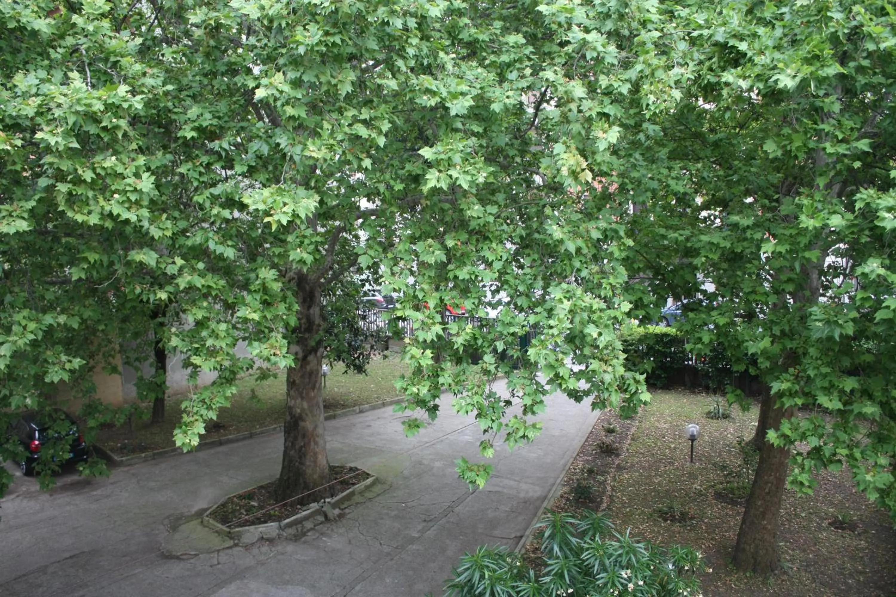 Other in Hotel Garden