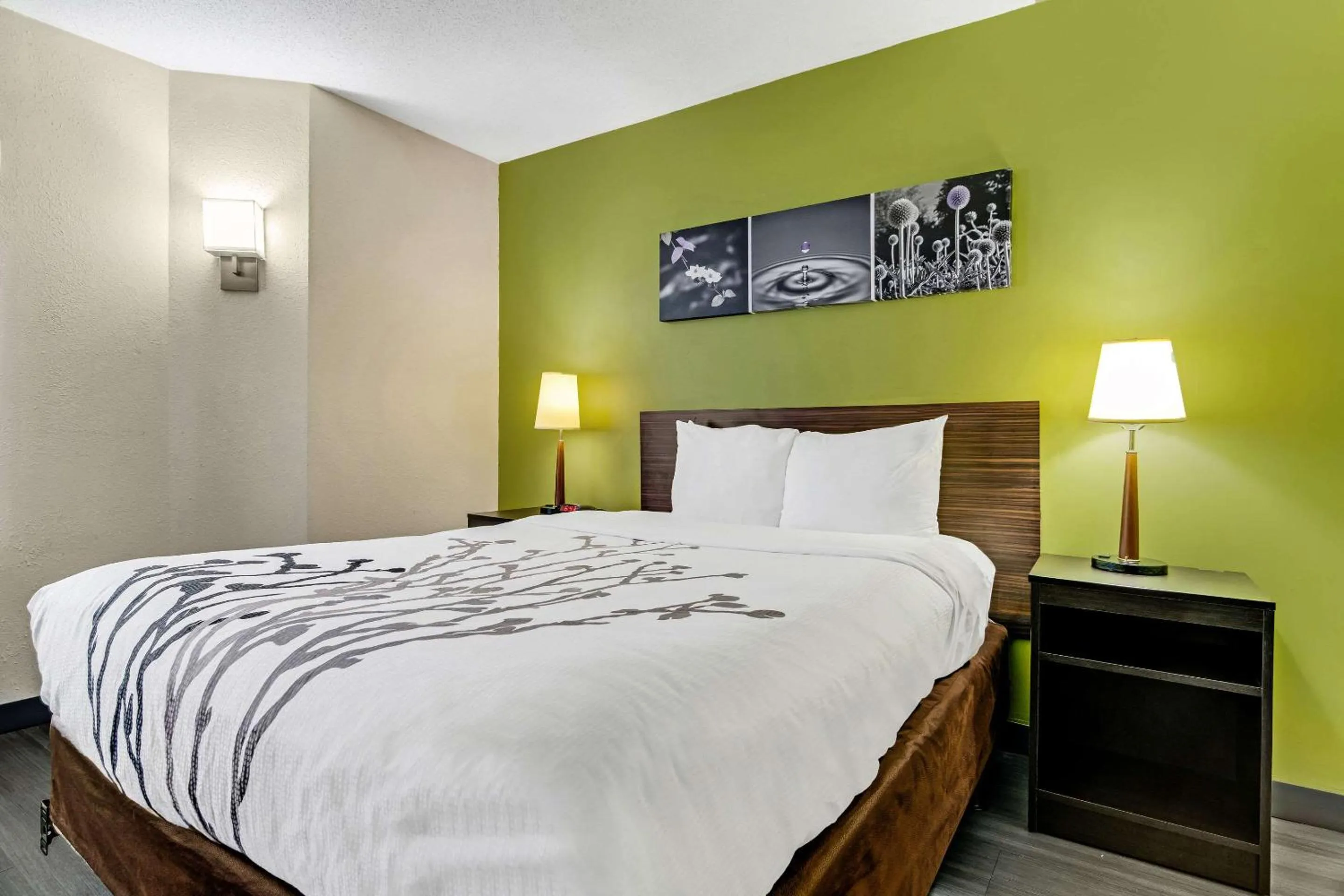 Bedroom, Bed in Sleep Inn near I-80 and I-94