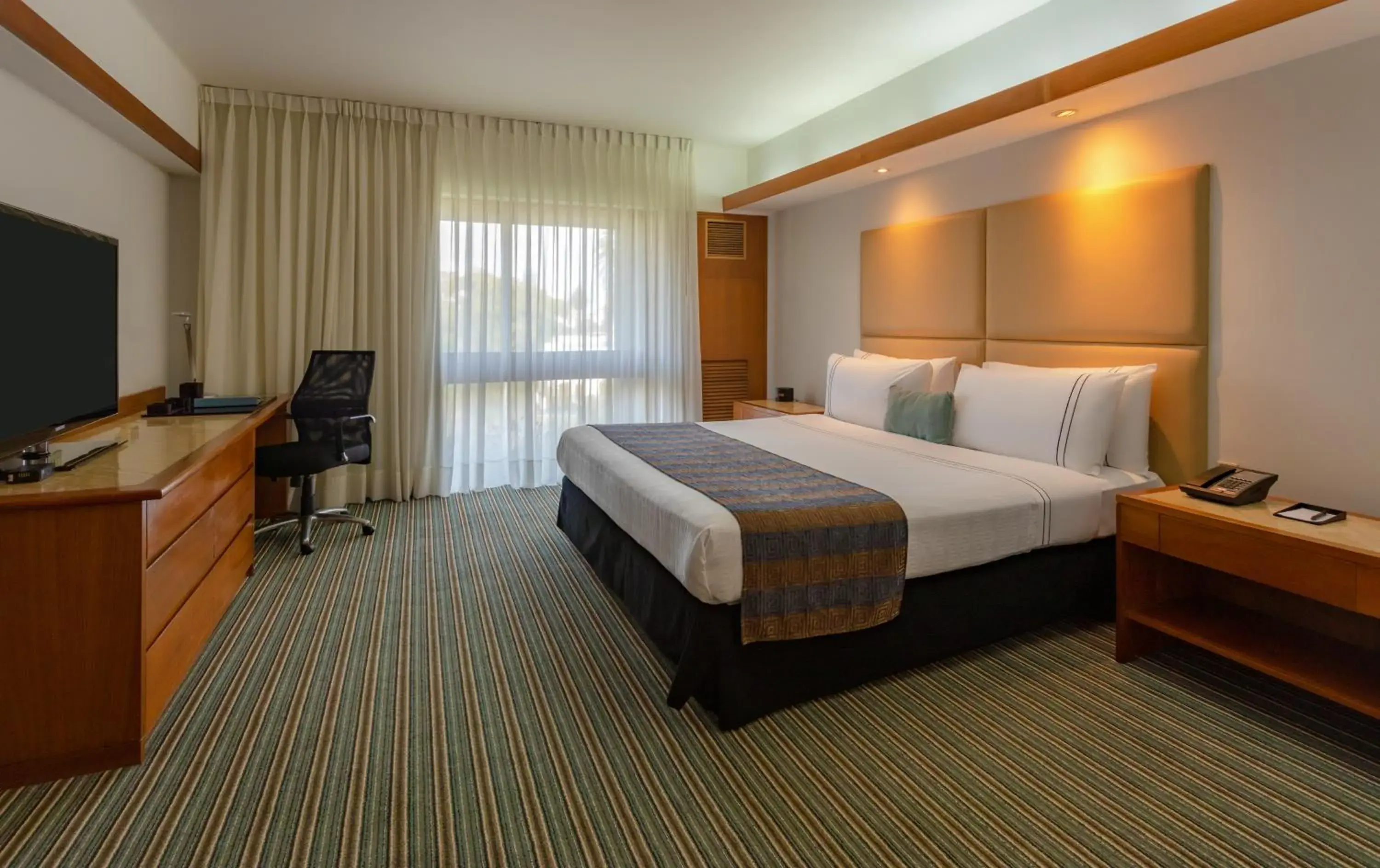 Queen Room - single occupancy in Sonesta Hotel El Olivar Queen Room - single occupancy in Sonesta Hotel El Olivar