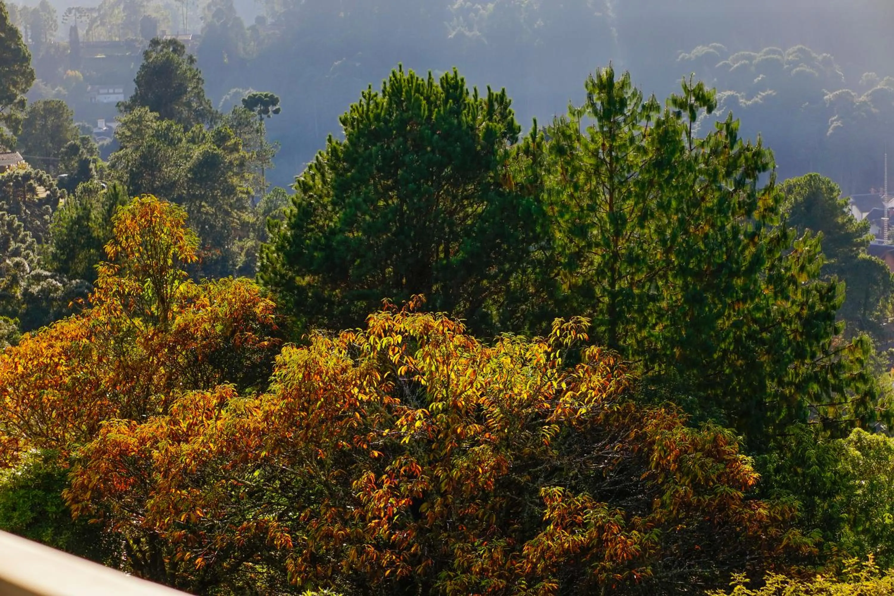 Natural landscape in Pousada Constellation Lodge