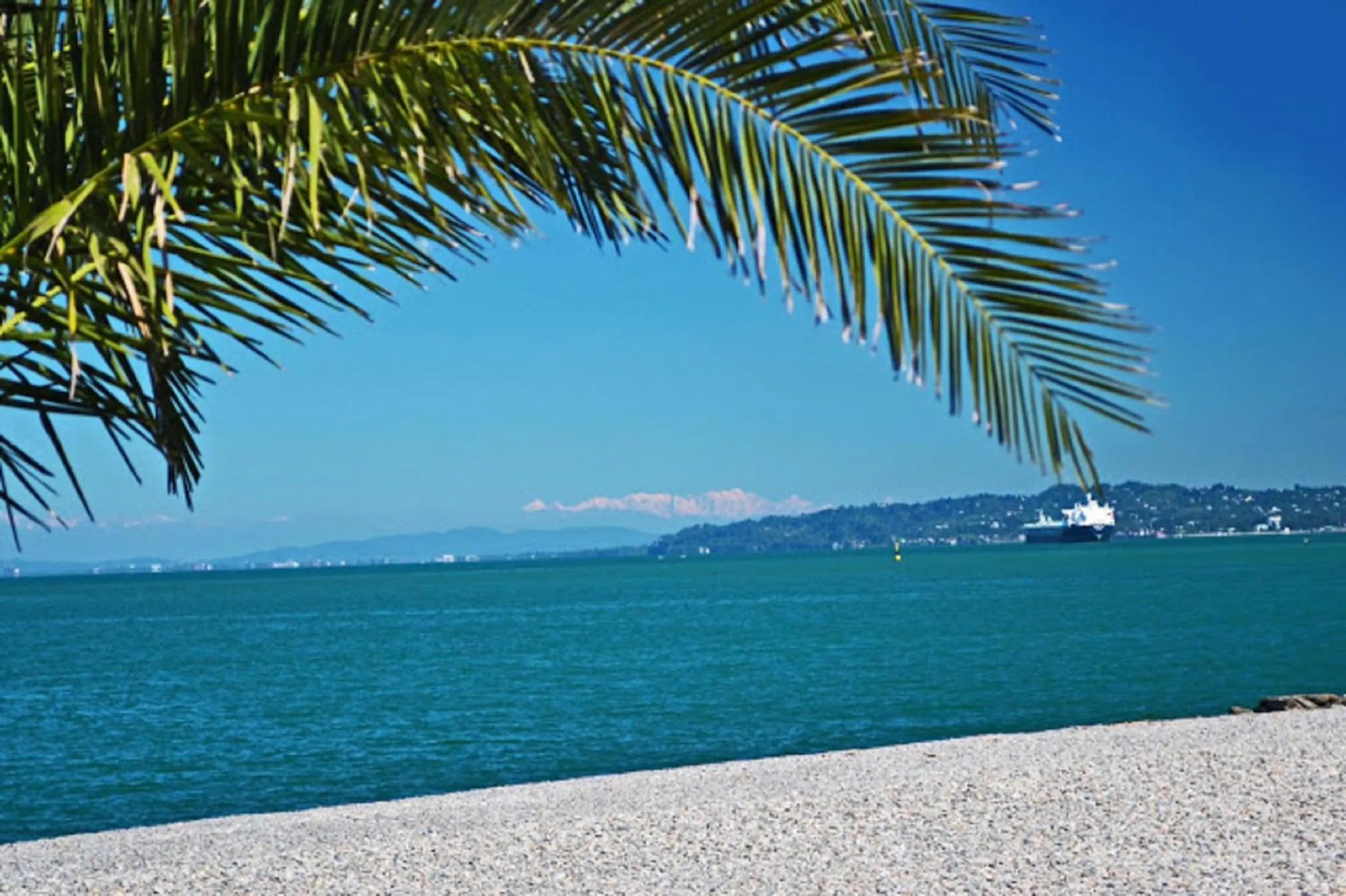 Property logo or sign in Viva Blue Batumi