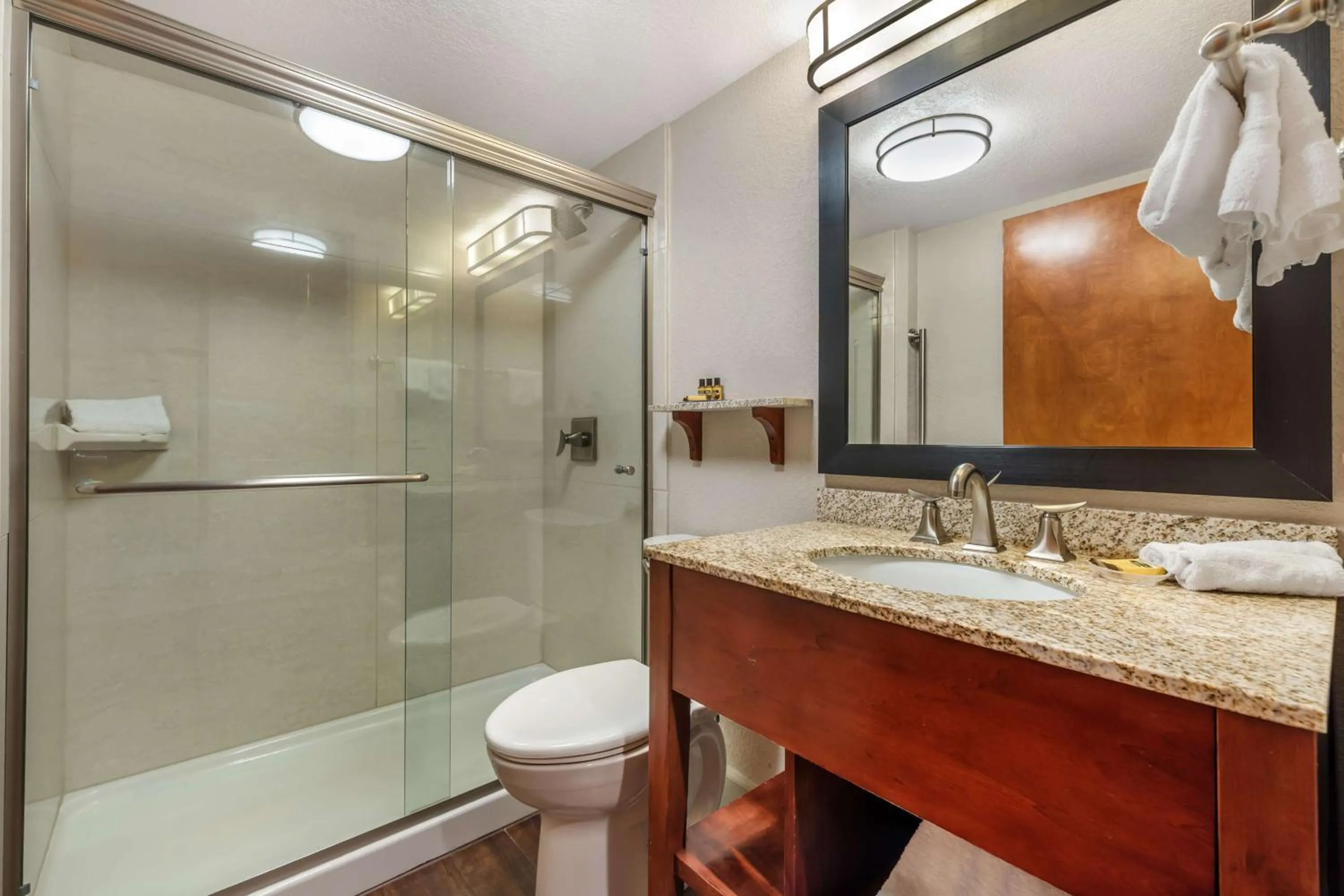 Bathroom in Best Western Plus Peak Vista Inn & Suites