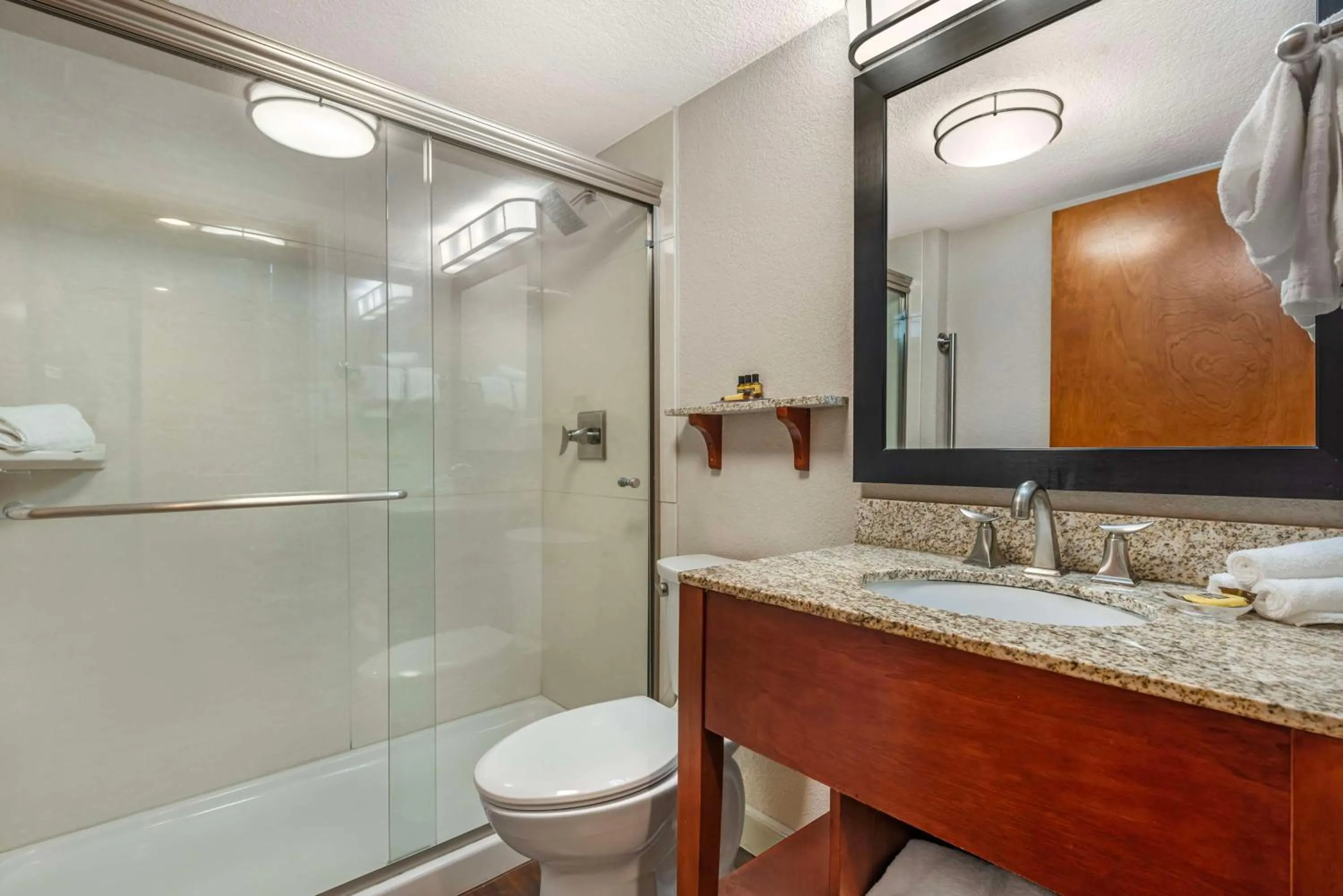 Bathroom in Best Western Plus Peak Vista Inn & Suites