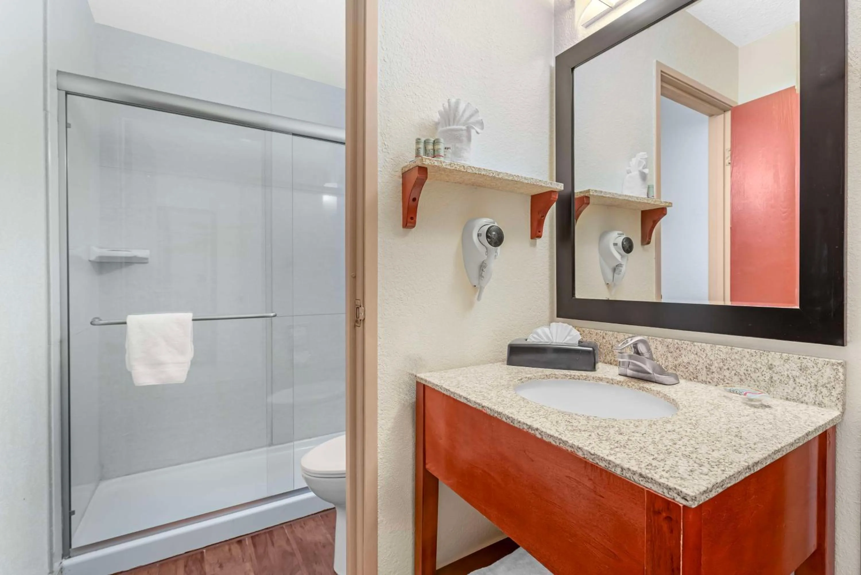 Bathroom in Best Western Executive Inn & Suites