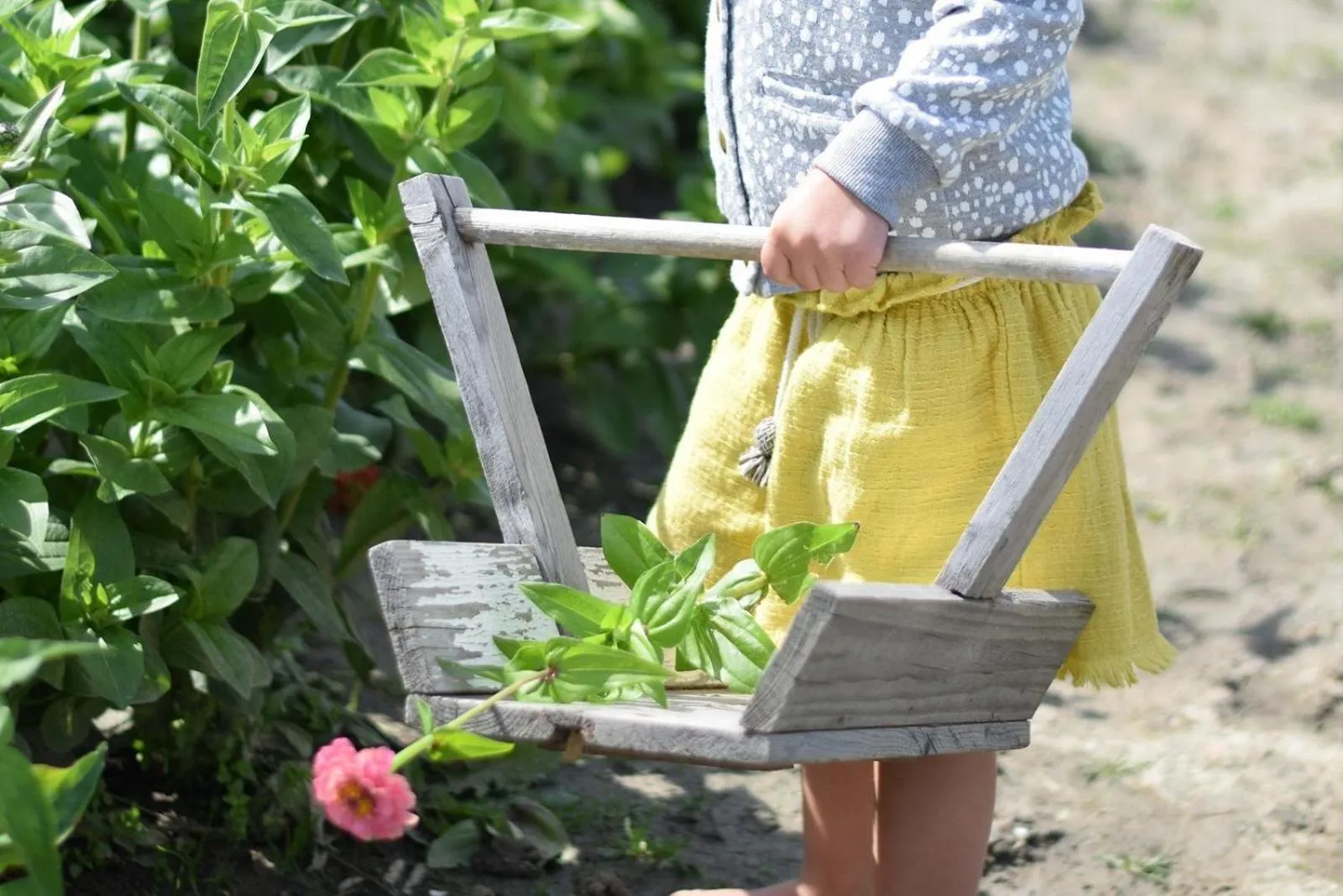 Welcome in - Sint-Anthonijshoek, studio's met eigen tuin, theeschenkerij en pluktuin