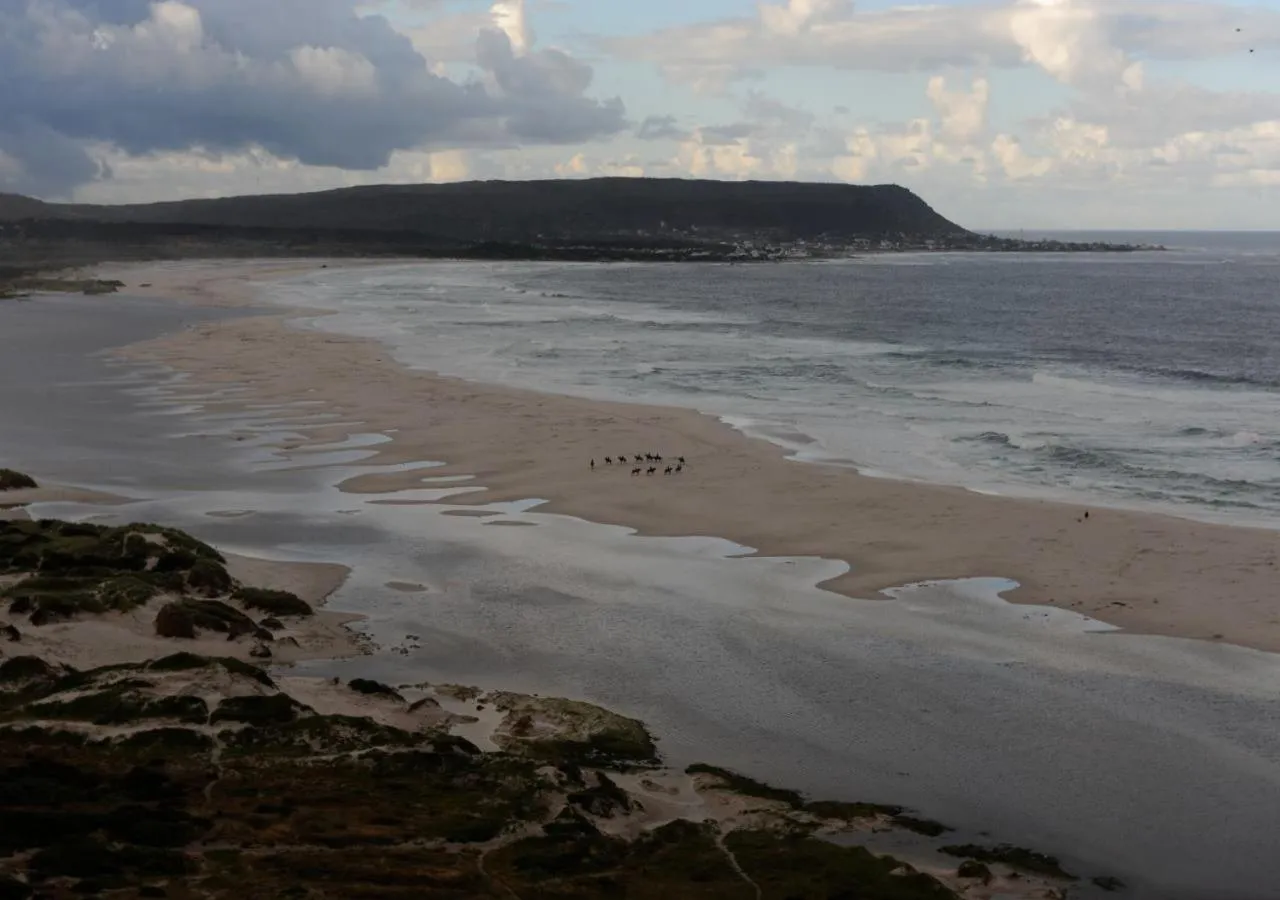 Beach in Monkey Valley Resort