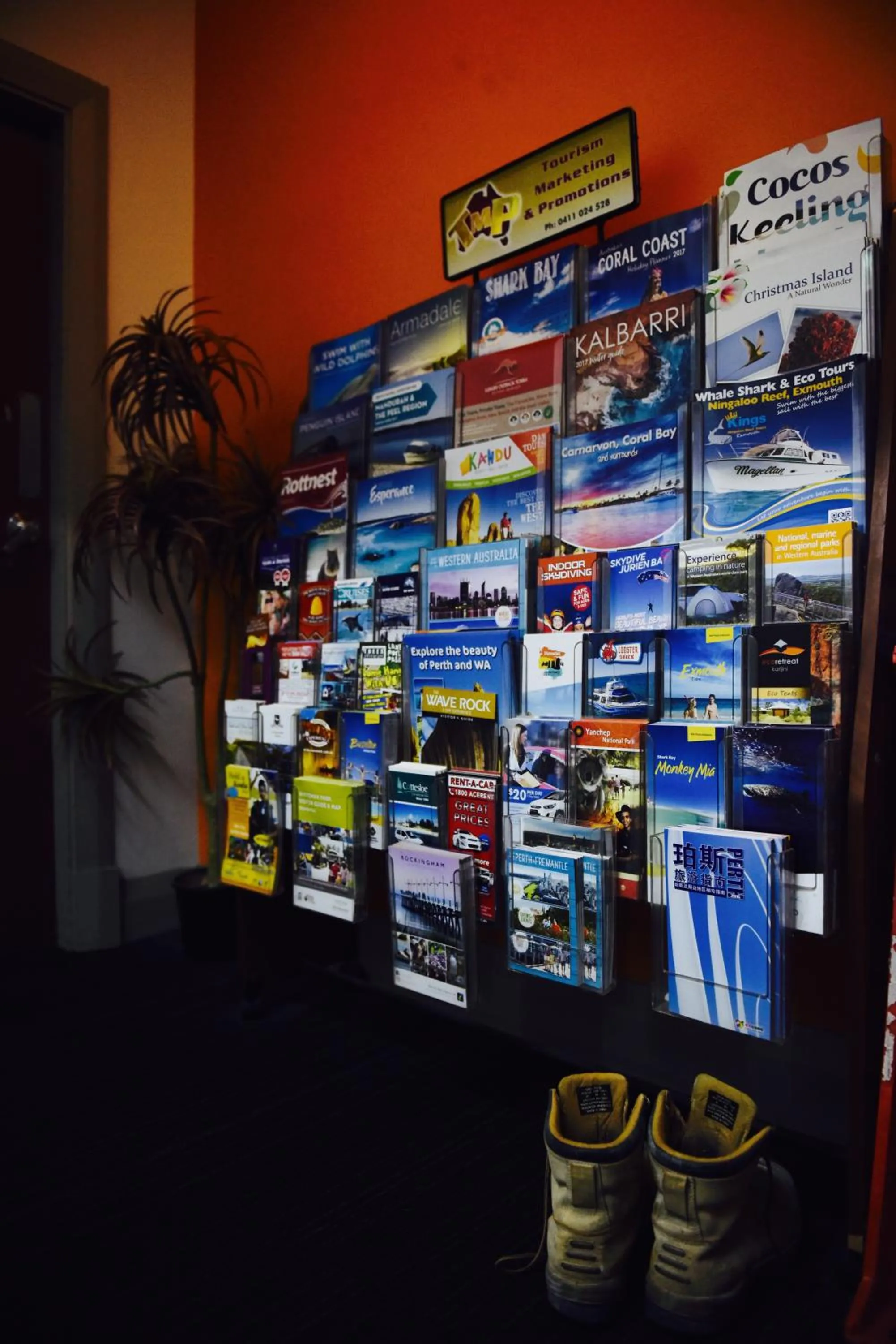 Decorative detail in The Emperors Crown Hostel