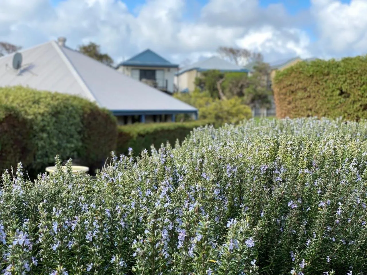 Garden view in Surfpoint Resort