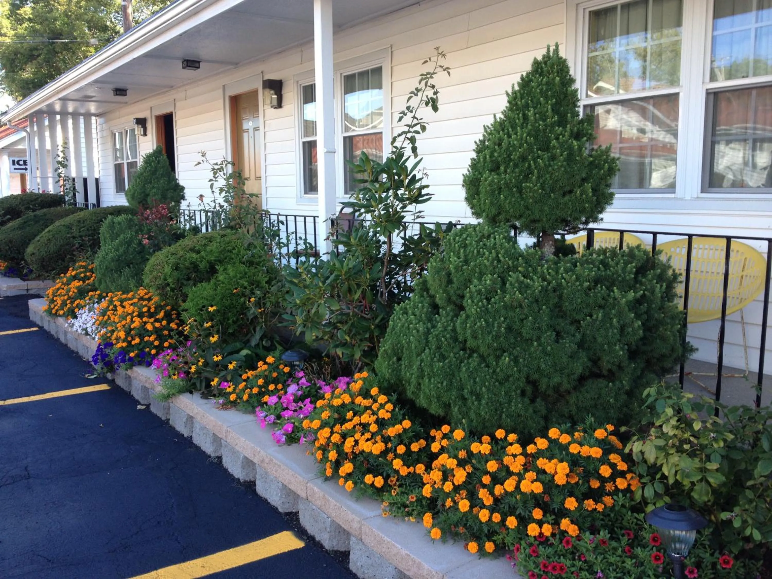 Natural landscape in Chisholm's Motor Inn
