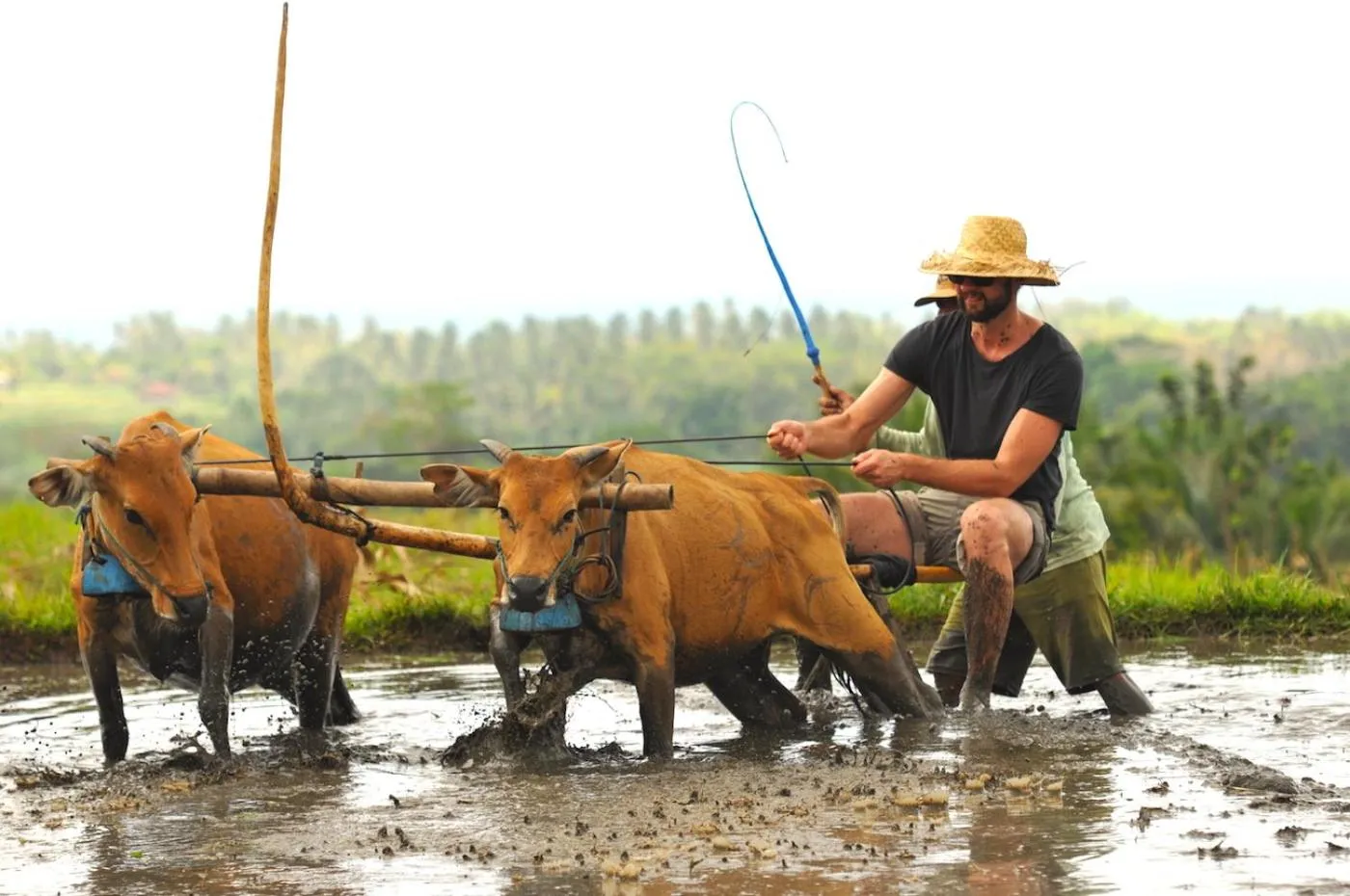 Activities in Puri Dajuma Beach Eco-Resort & Spa