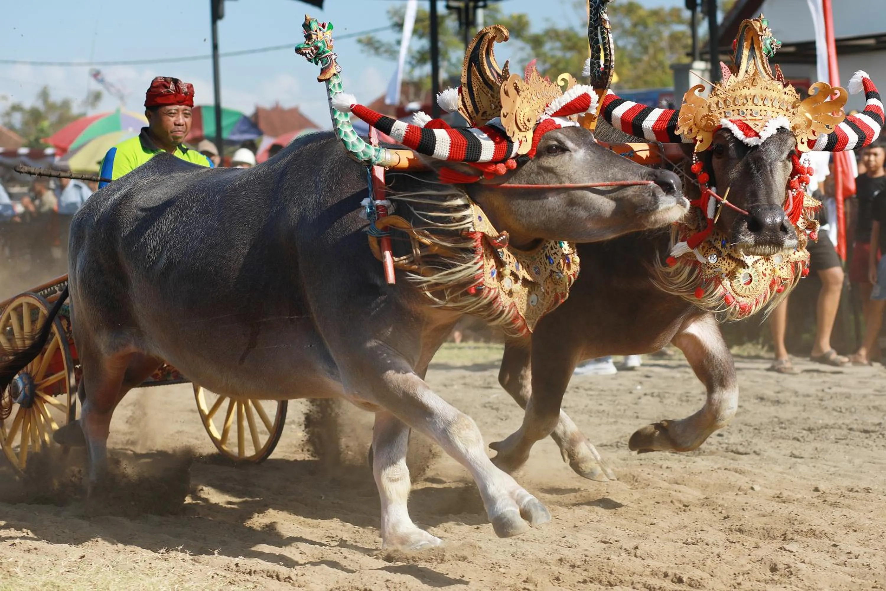 Activities in Puri Dajuma Beach Eco-Resort & Spa