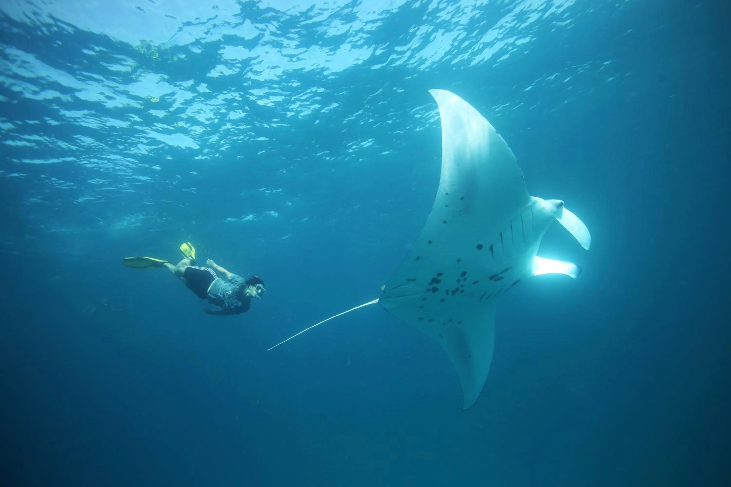 Activities in Anantara Kihavah Maldives Villas