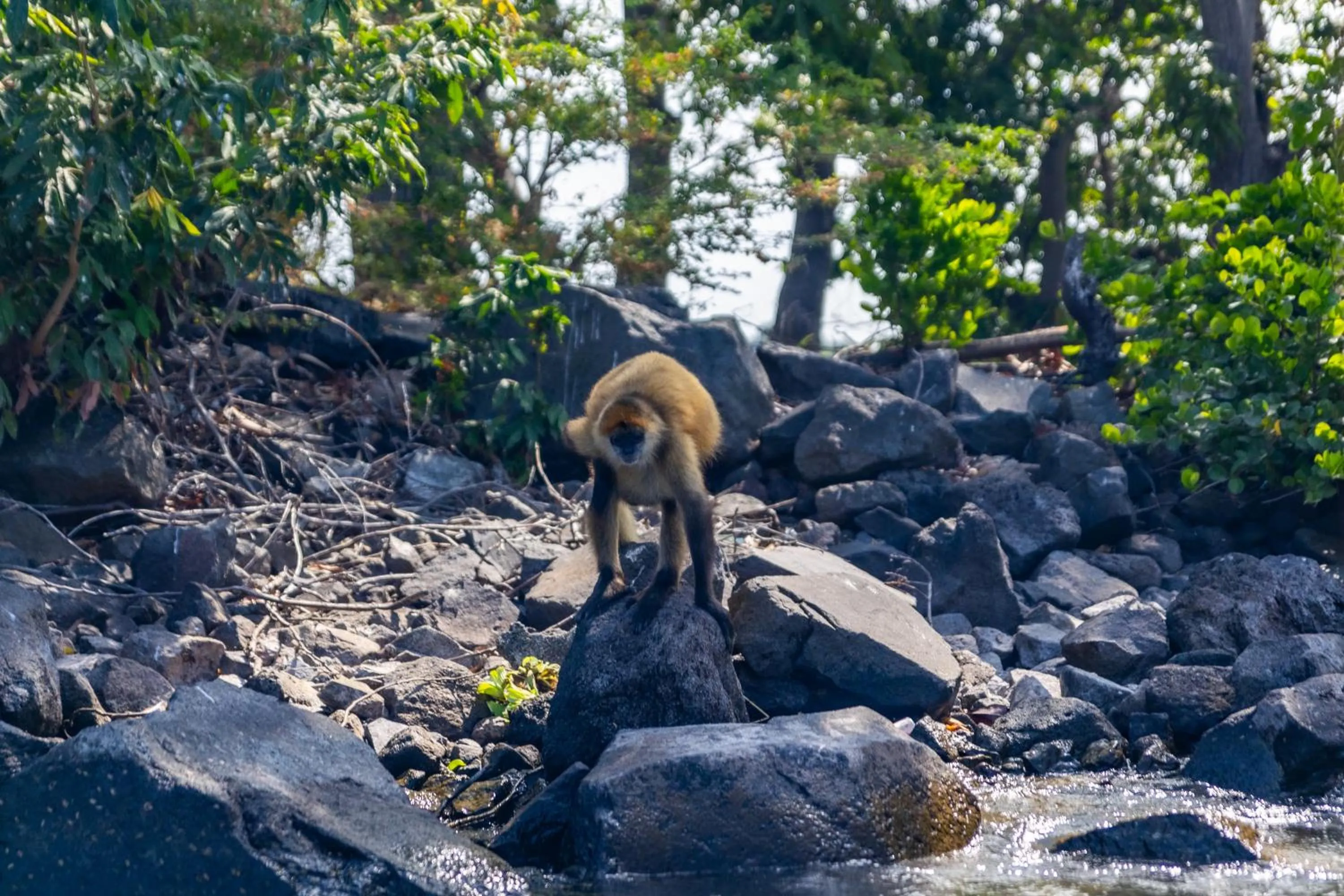 Natural landscape in Selina Granada