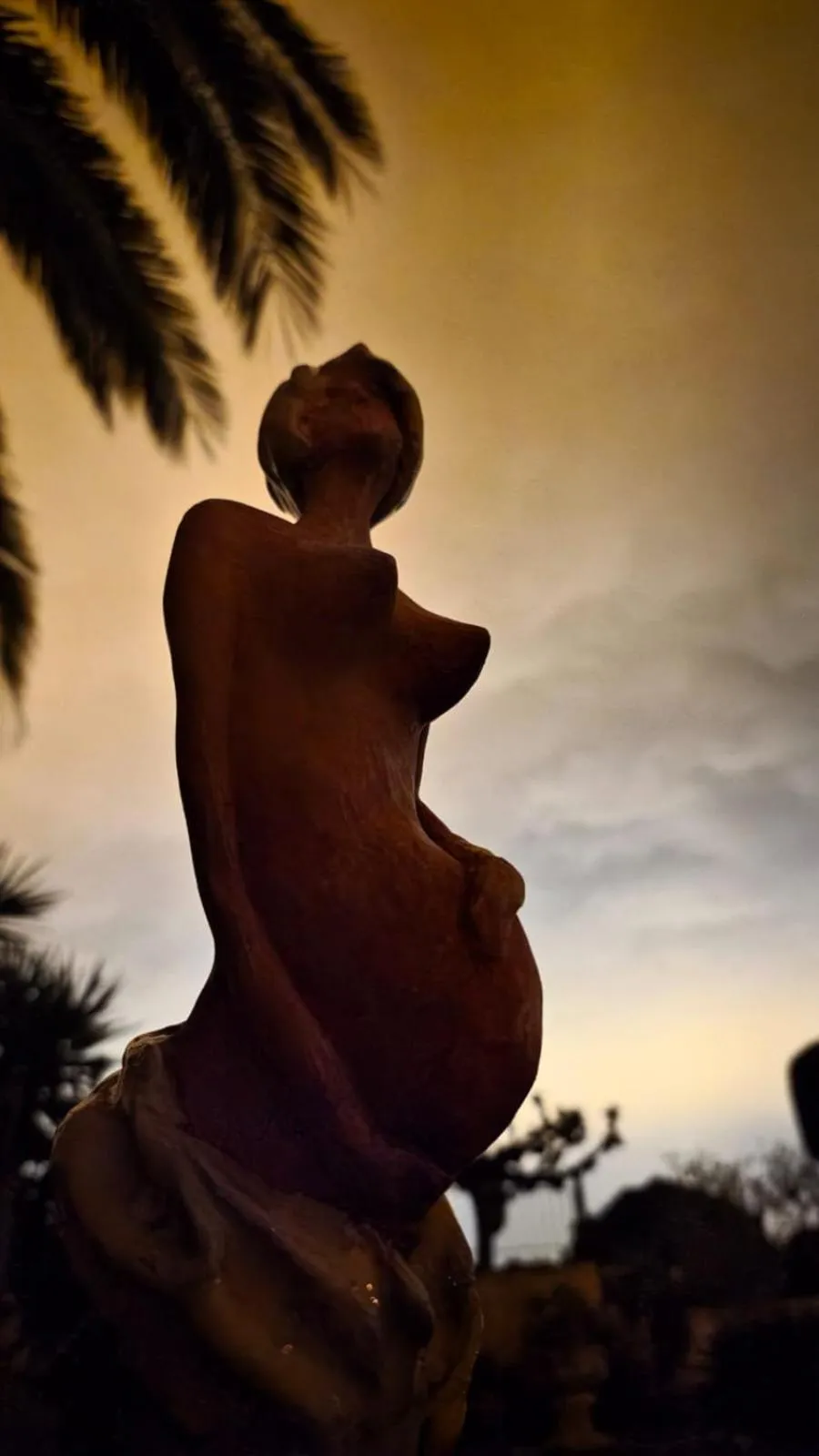 Garden in Suite & Spa Panoramic Olivars