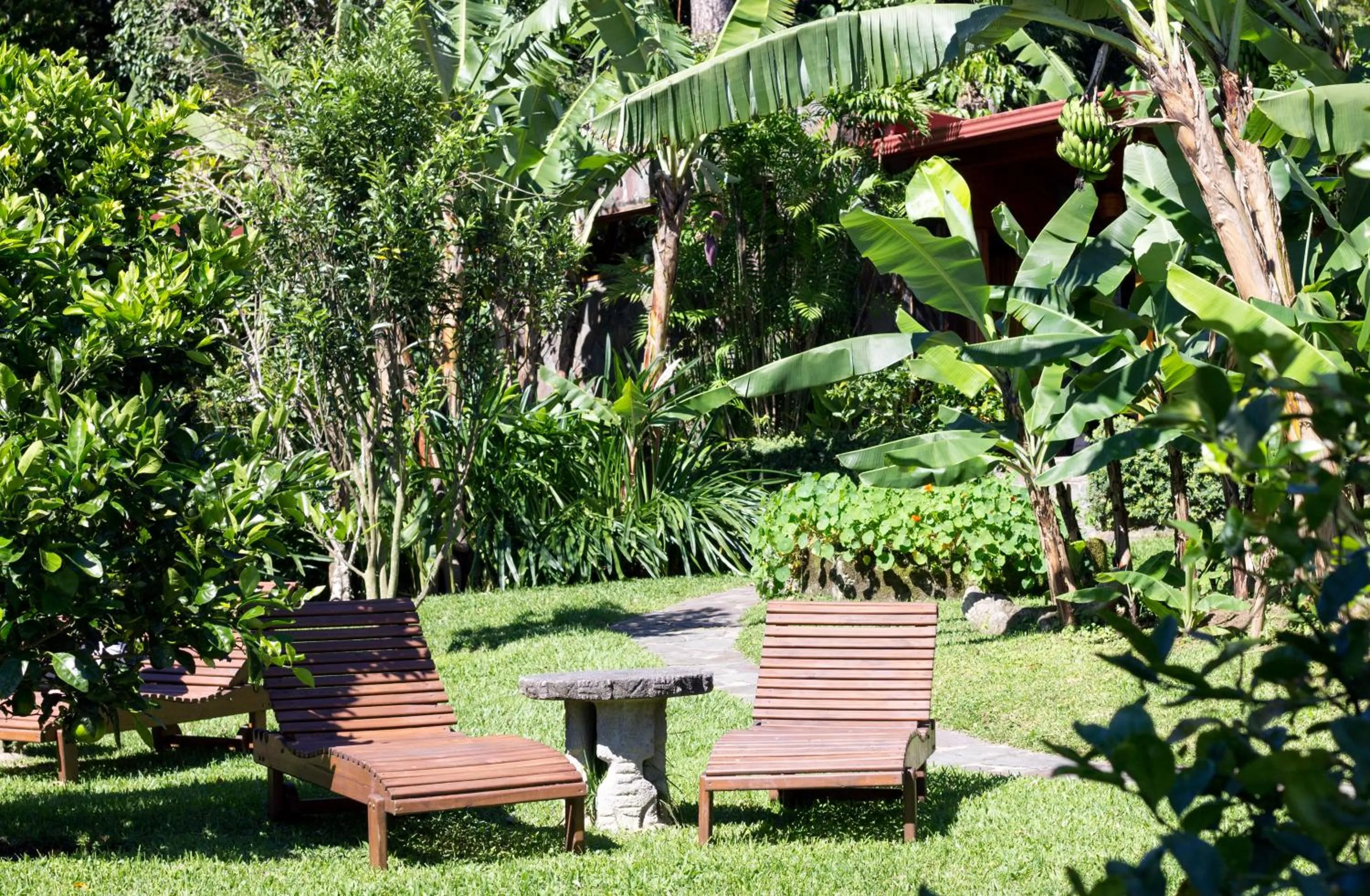 Garden in Arco Iris Lodge