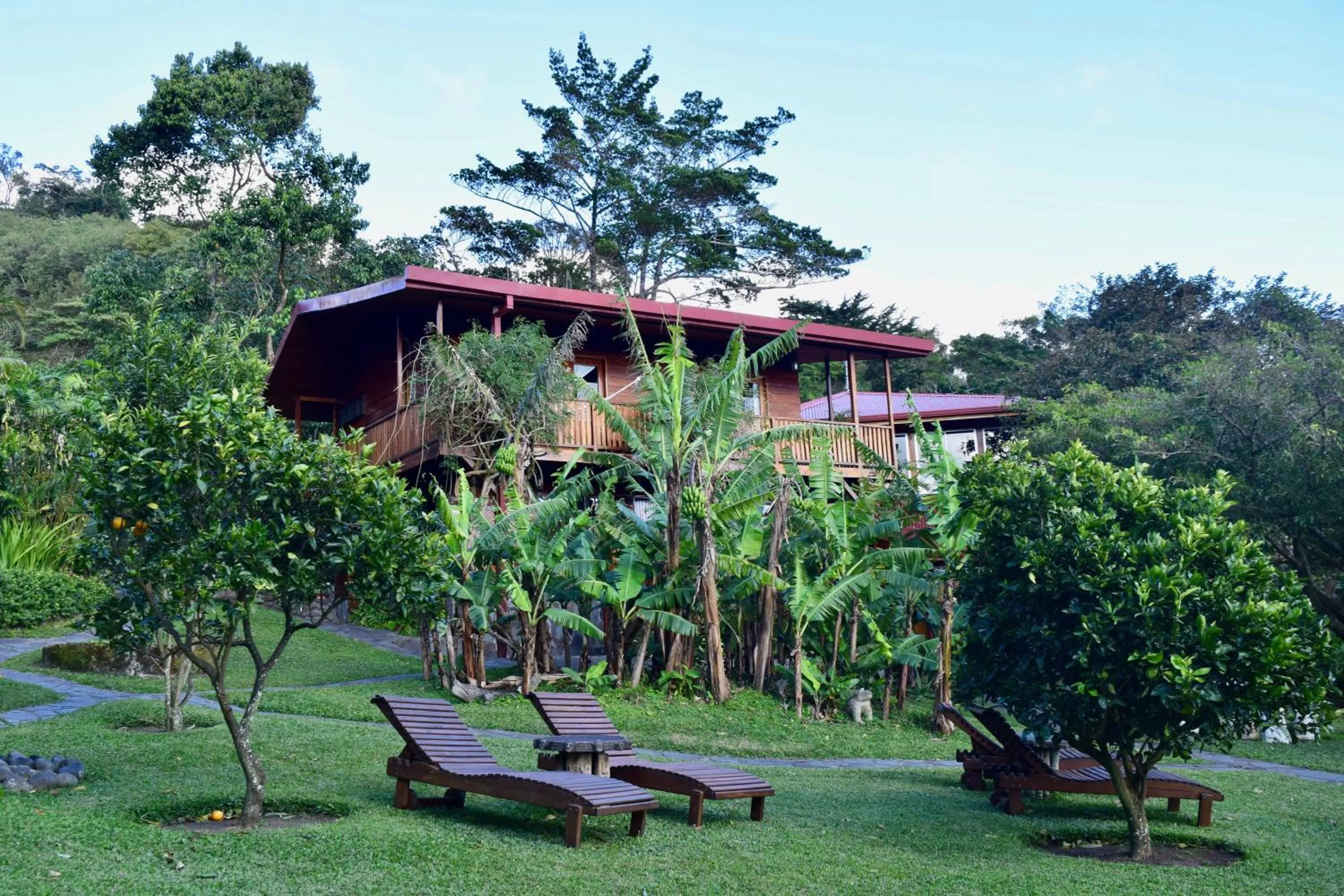 Garden in Arco Iris Lodge