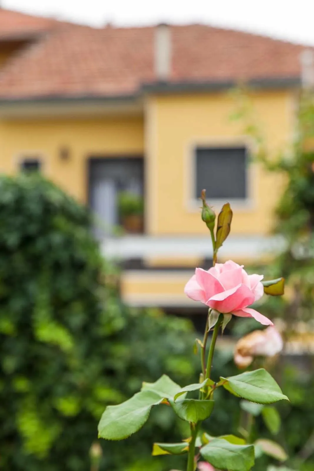 Property building in Torino Mon Amour