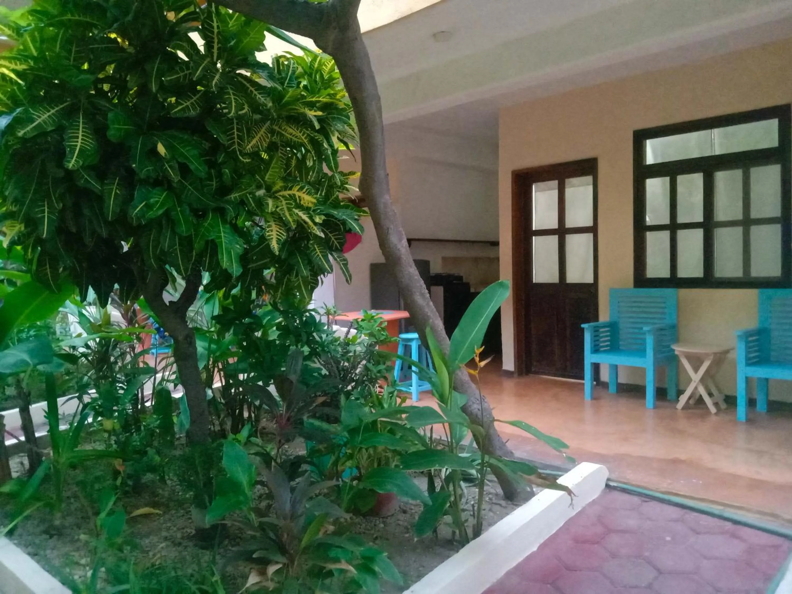 Patio in Hotel Papaya Surf