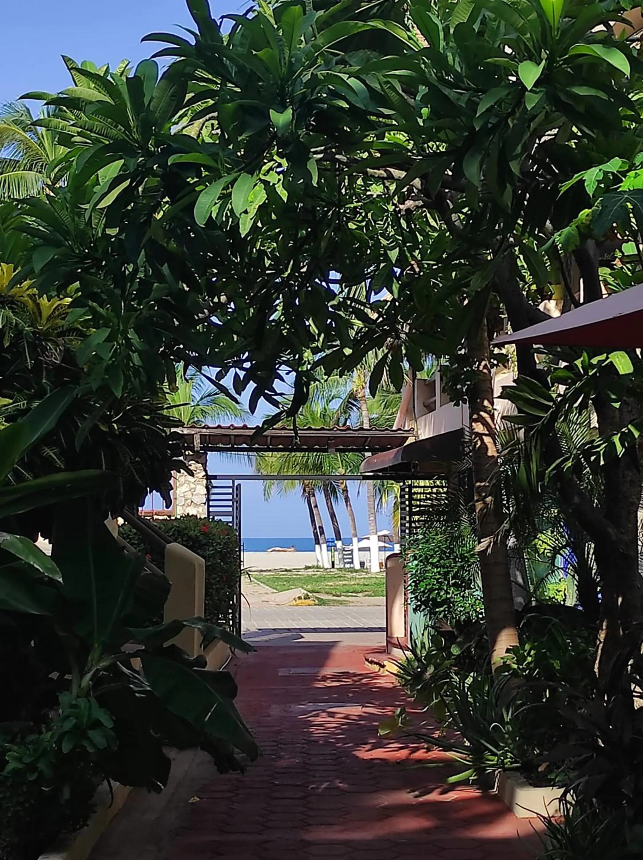 Property building in Hotel Papaya Surf