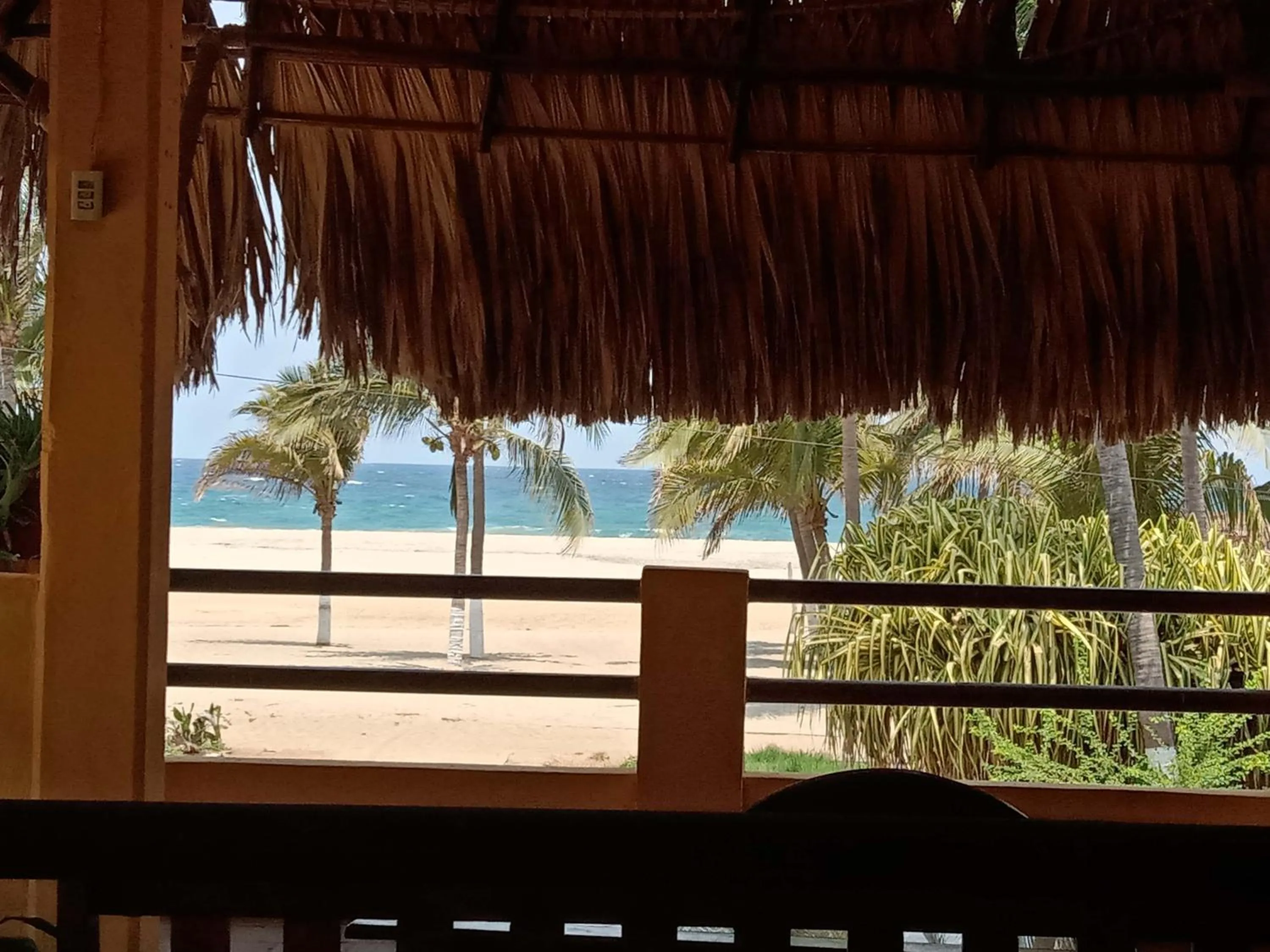 Balcony/Terrace in Hotel Papaya Surf