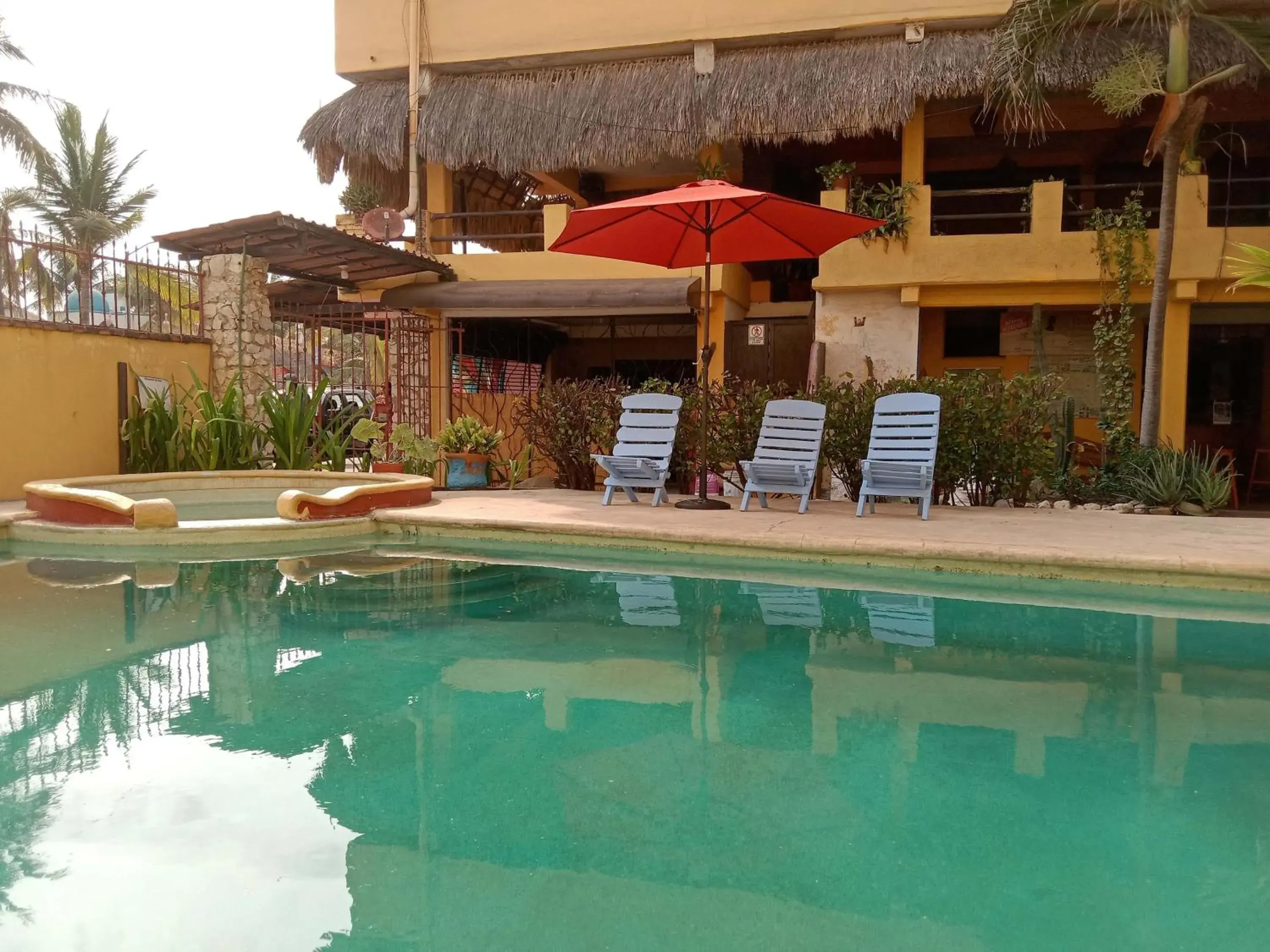 Hotel Papaya Surf Hotel Papaya Surf