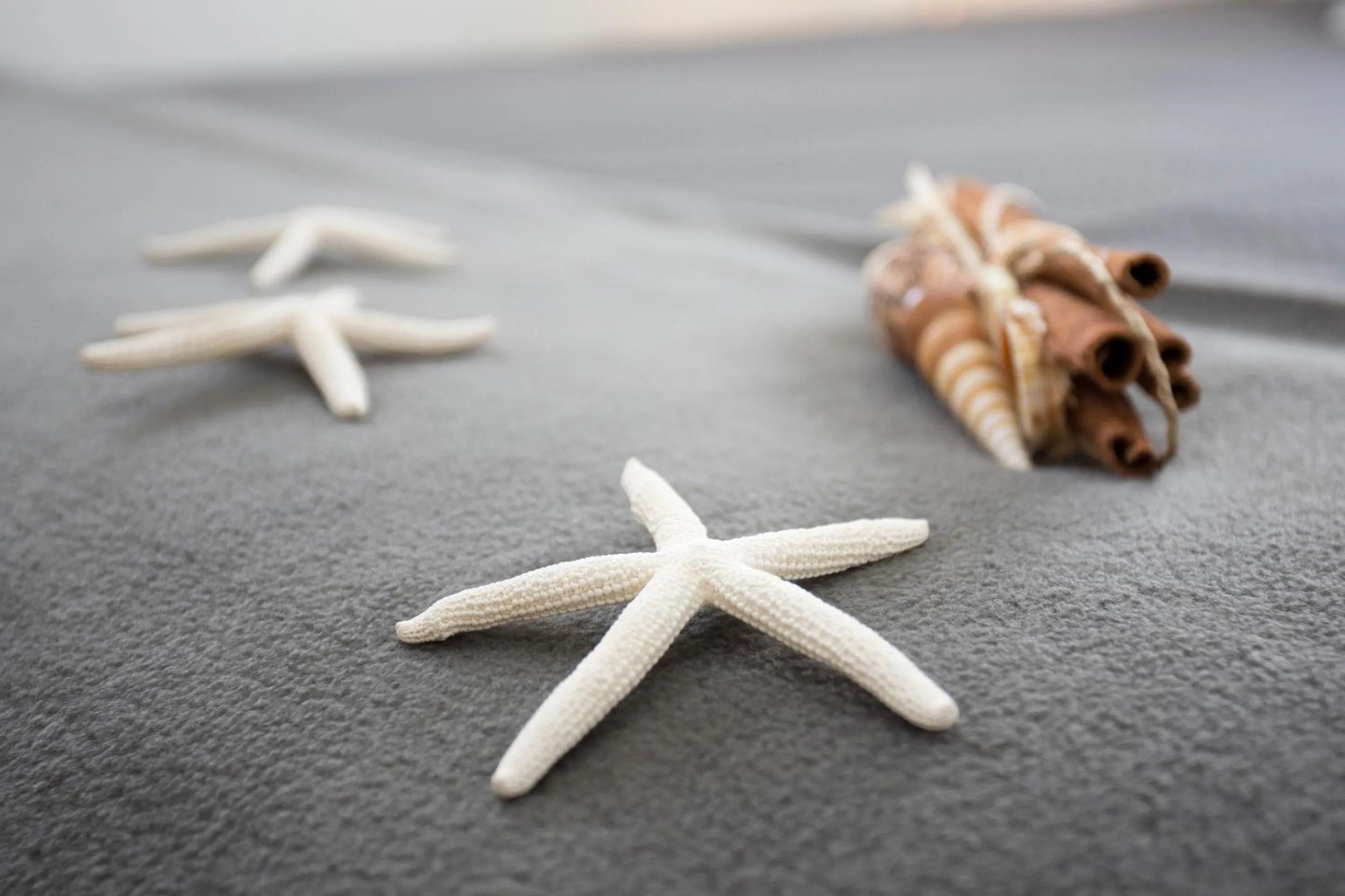 Decorative detail in Great Ocean Road Brewhouse Apollo Bay