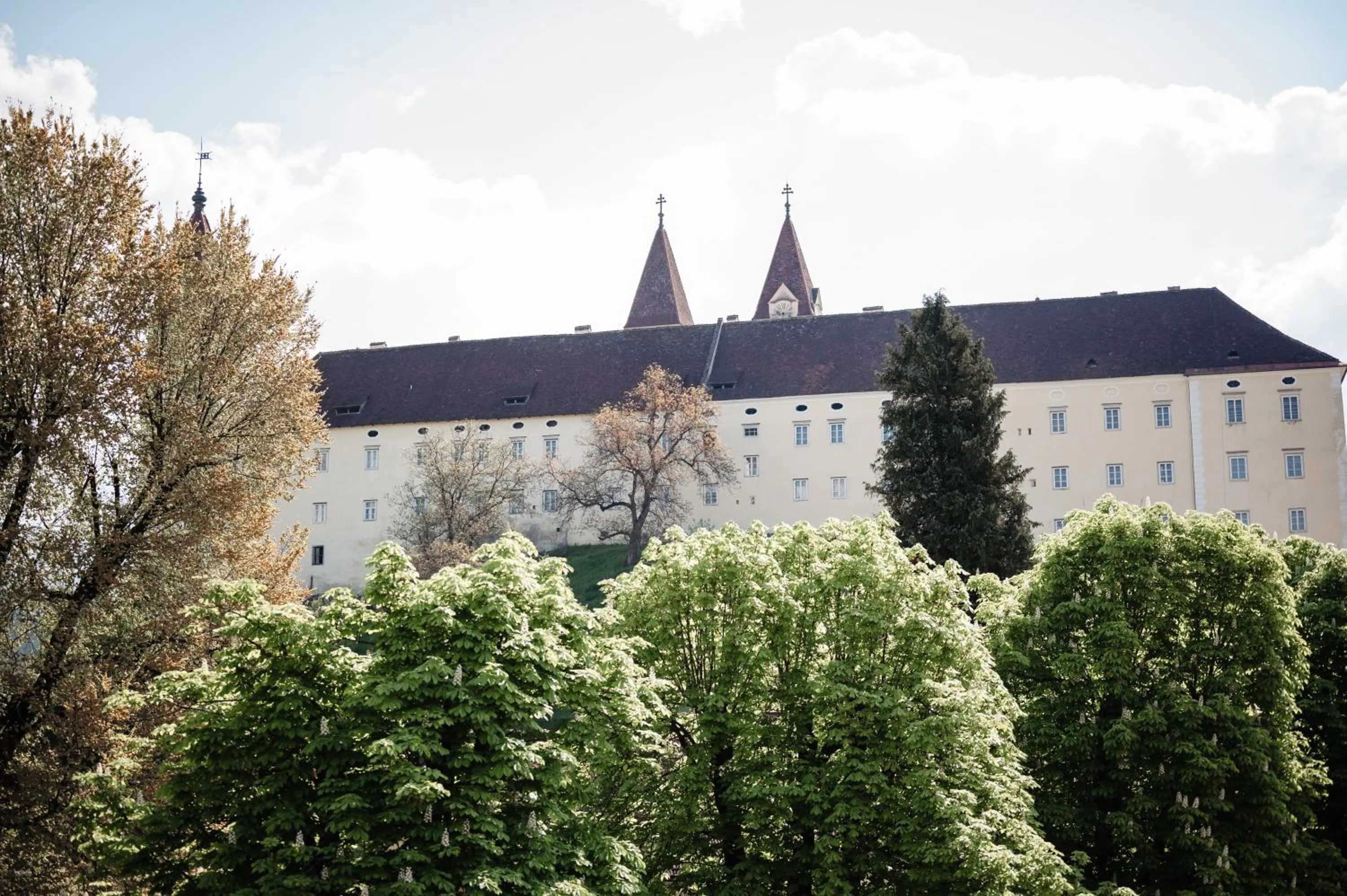 View (from property/room) in Landhotel Freitag