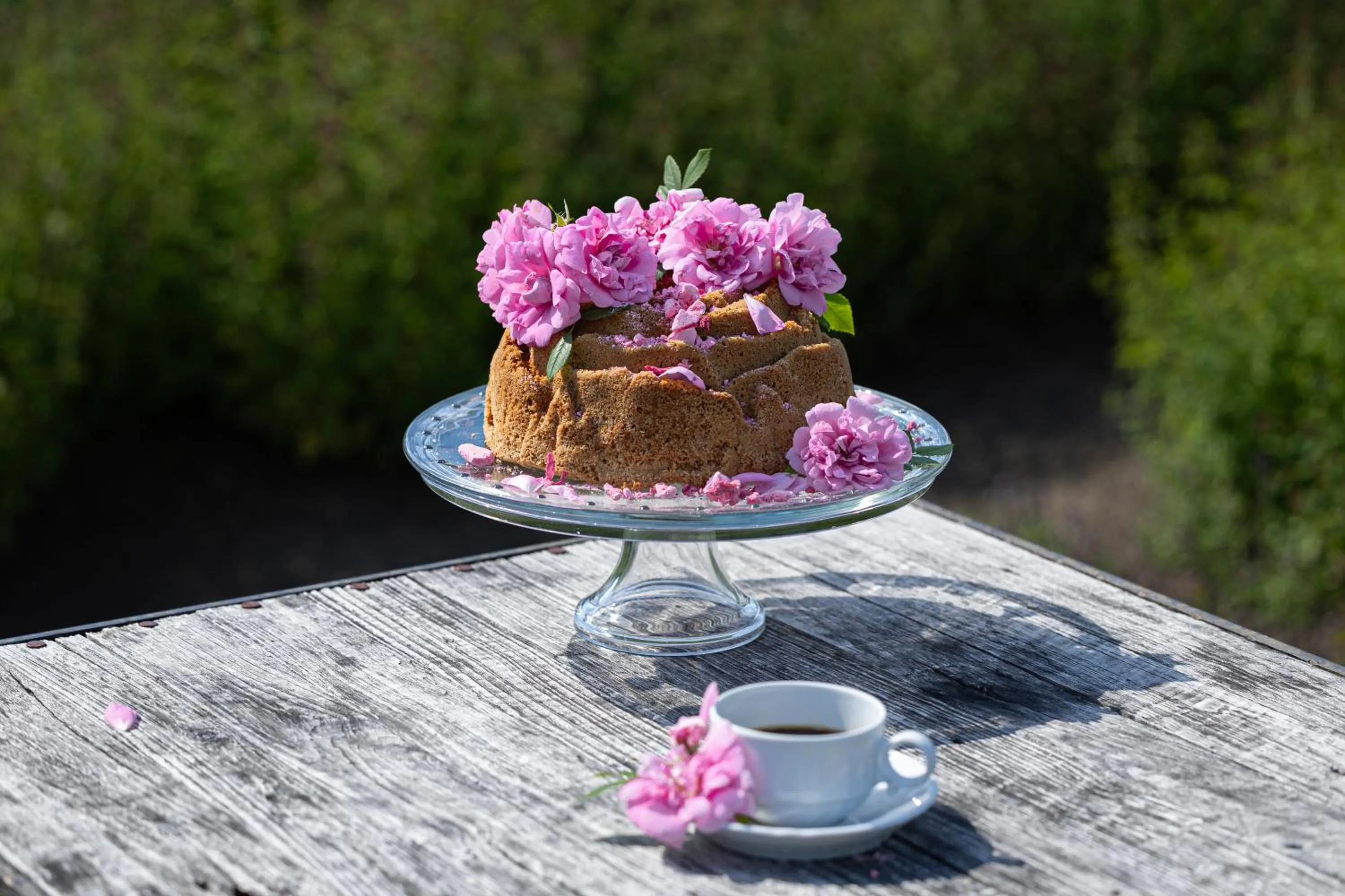 Garden in Tertin Kartano